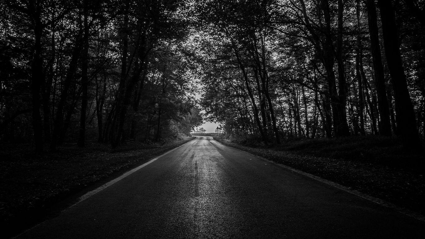 1366x768 Download wallpaper 1366x768 road, trees, bw, dark, forest tablet, laptop HD background