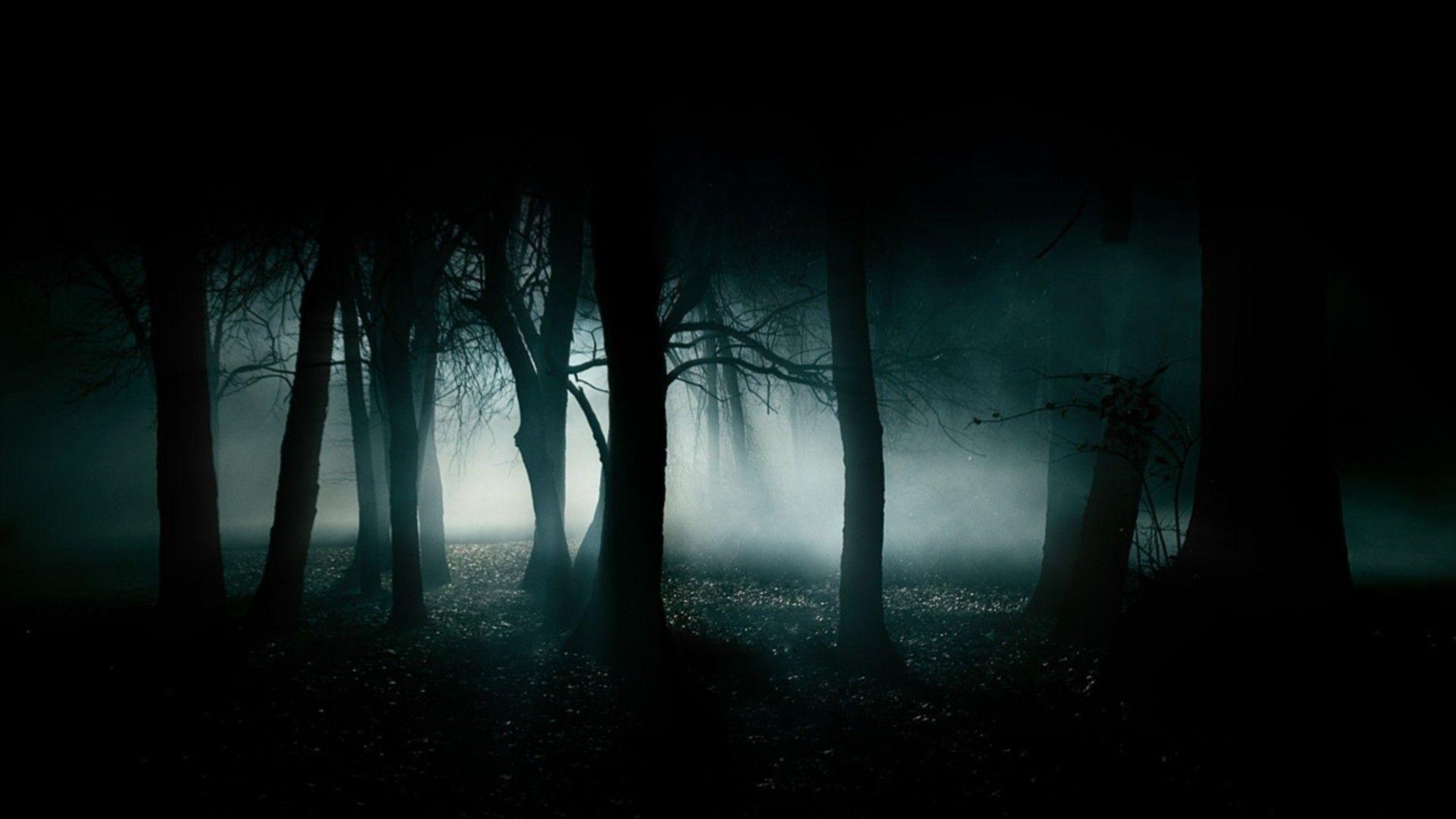 1920x1080 F o r e s t. Forest sounds, Dark wallpaper, Dark forest