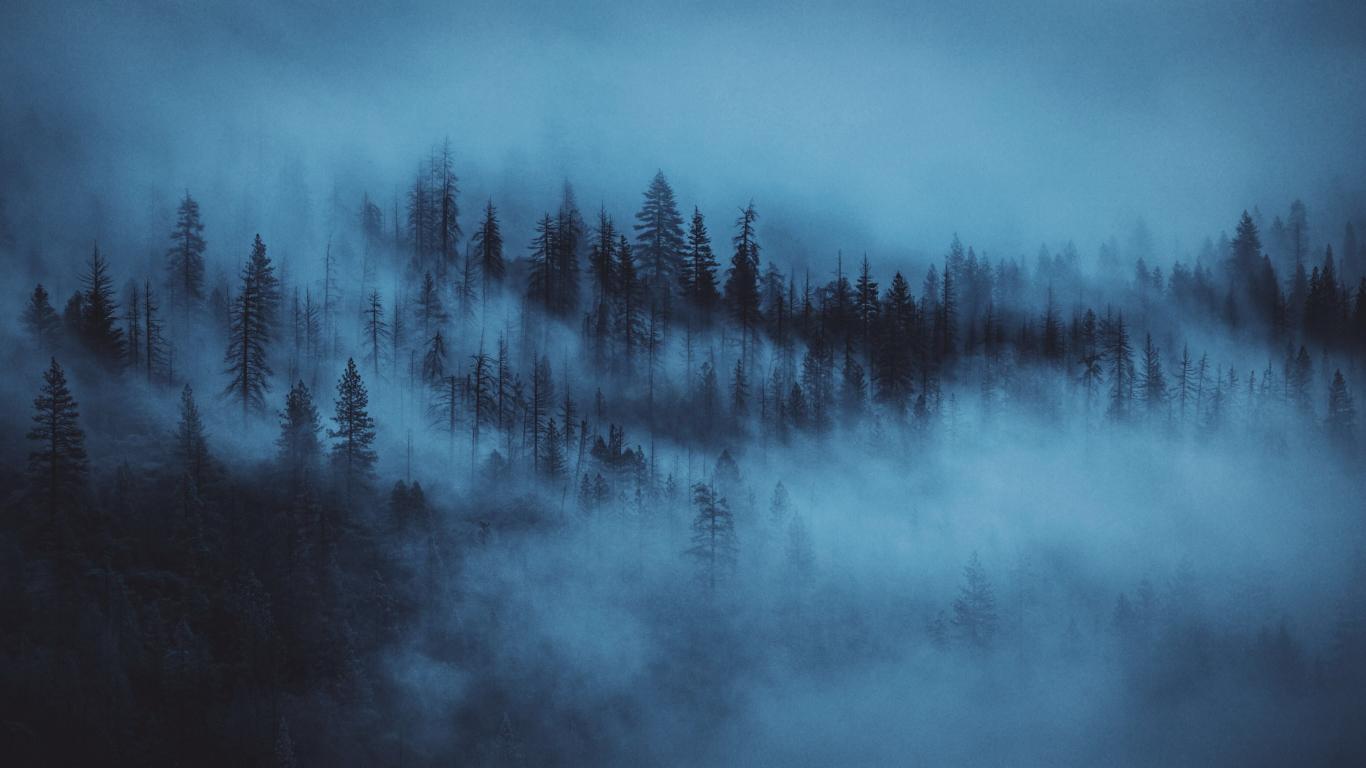 1366x768 Download dark, mist, trees, forest 1366x768 wallpaper, tablet, laptop, 1366x768 HD image, background, 16864