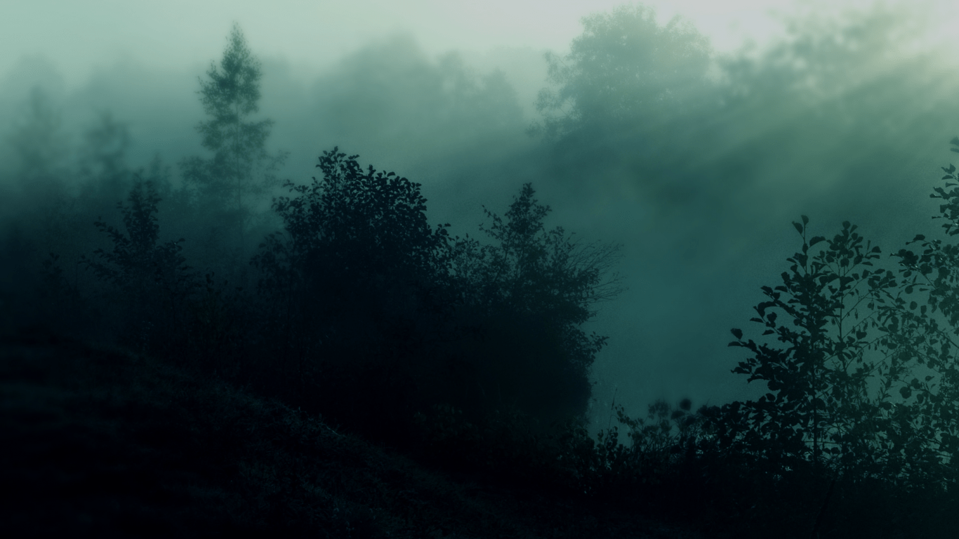 1366x768 Download 1366x768 Dark Forest, Foggy, Trees Wallpaper for Laptop, Notebook