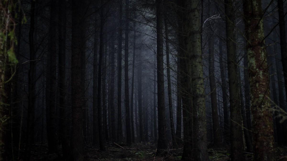 1200x675 The Dark Forest Theory of the Internet.