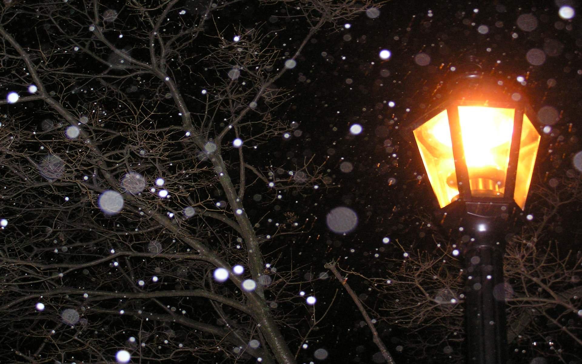 1920x1200 lamp, Post, Light, At, Night, Snow, Winter Wallpaper HD / Desktop and Mobile Background