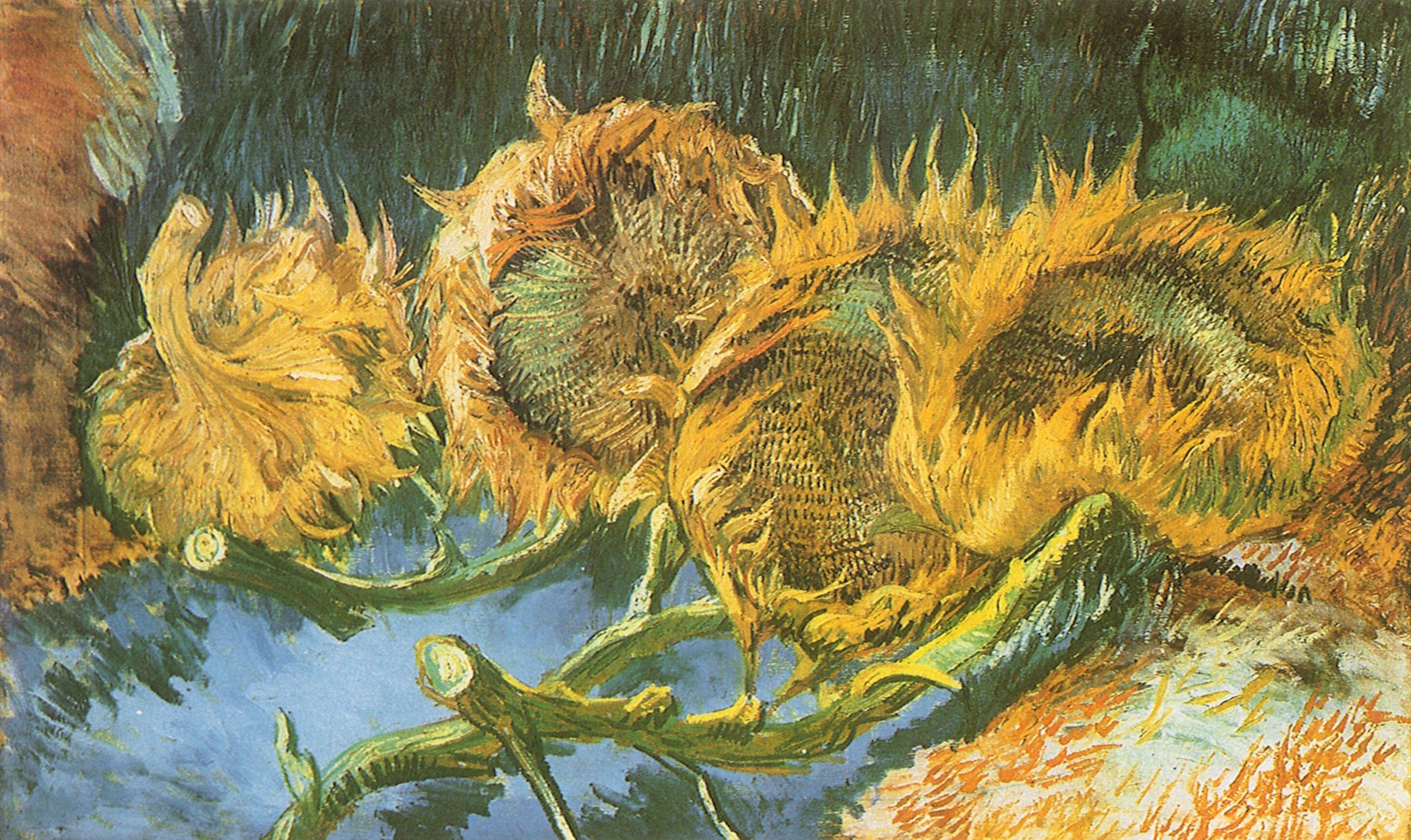 3071x1829 Vincent Van Gogh Wallpaper