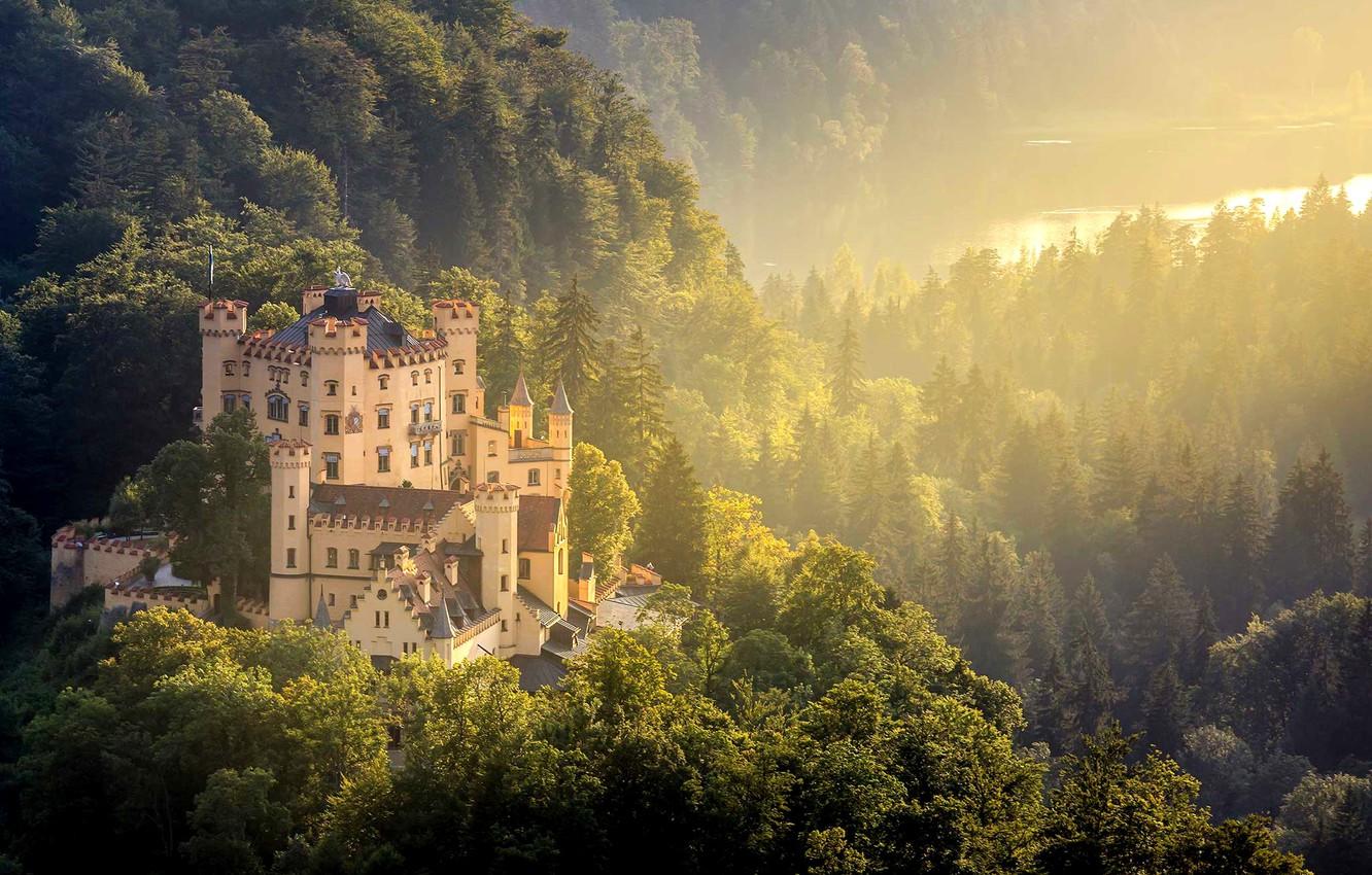 1332x850 Wallpaper forest, castle, Germany, Hohenschwangau, Hohenschwangau Castle image for desktop, section город