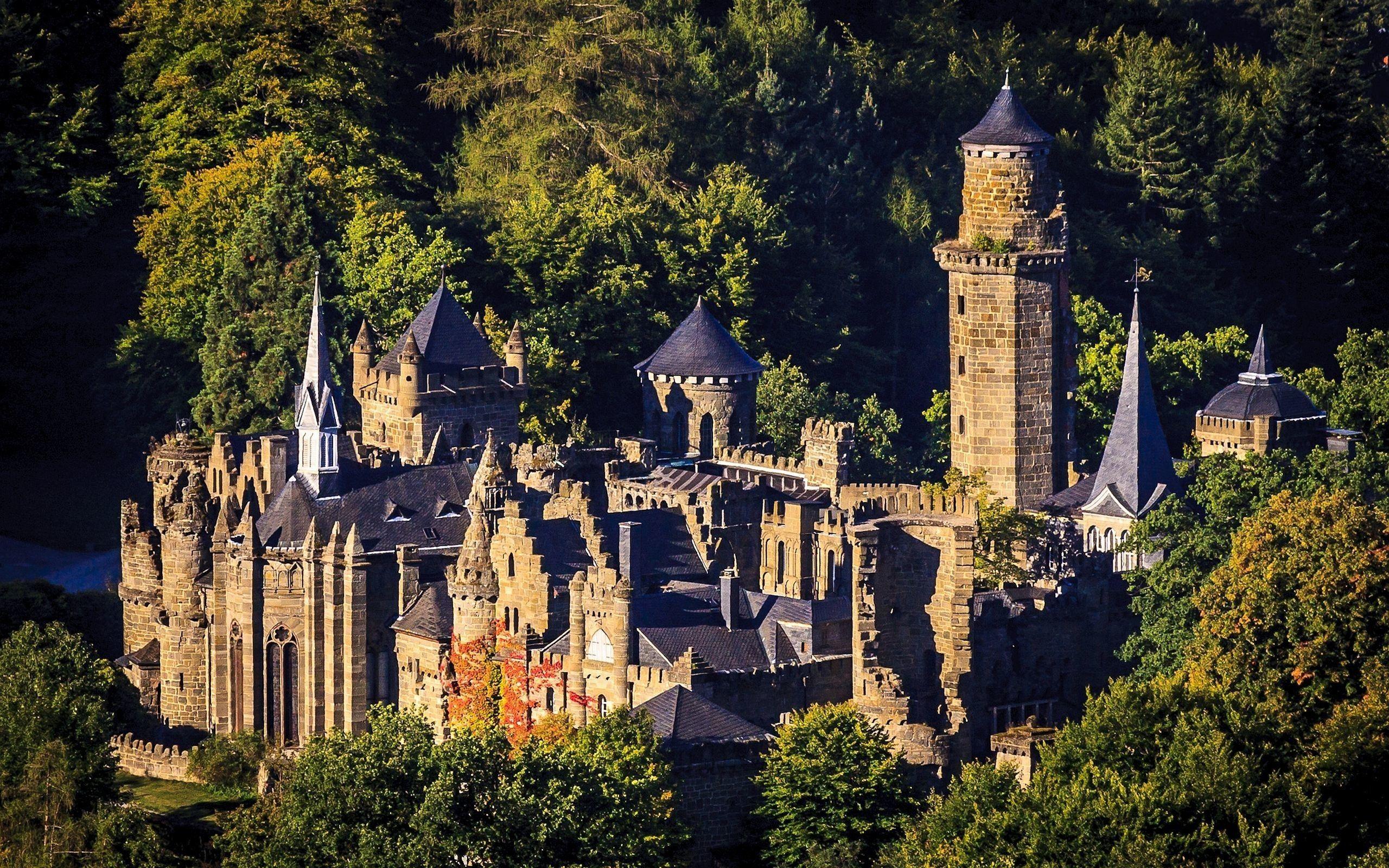 2560x1600 Forest Palace Wallpaper
