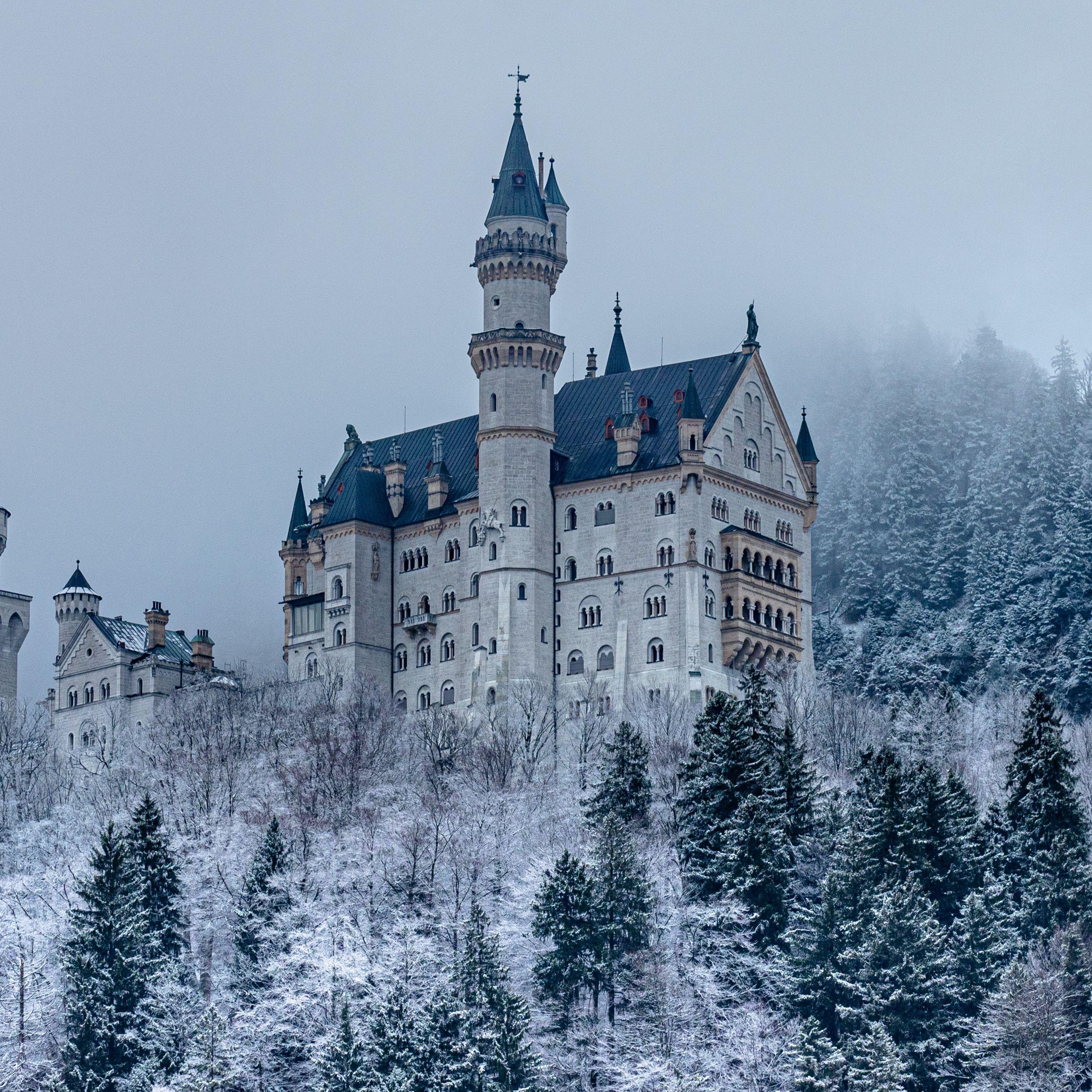 2780x2780 Download wallpaper 2780x2780 castle, forest, snow, winter, architecture ipad air, ipad air ipad ipad ipad mini ipad mini ipad mini ipad pro 9.7 for parallax HD background