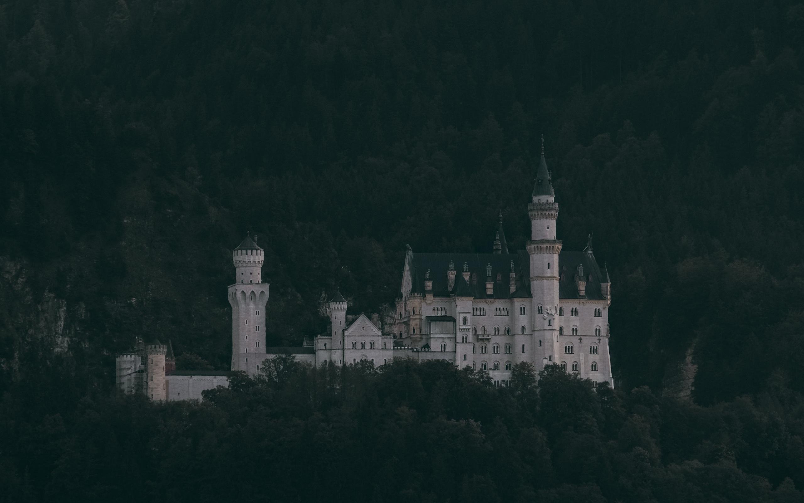 2560x1600 Wallpaper 4k castle, trees, neuschwanstein castle, forest, mountains, schwangau, germany 4k Wallpaper