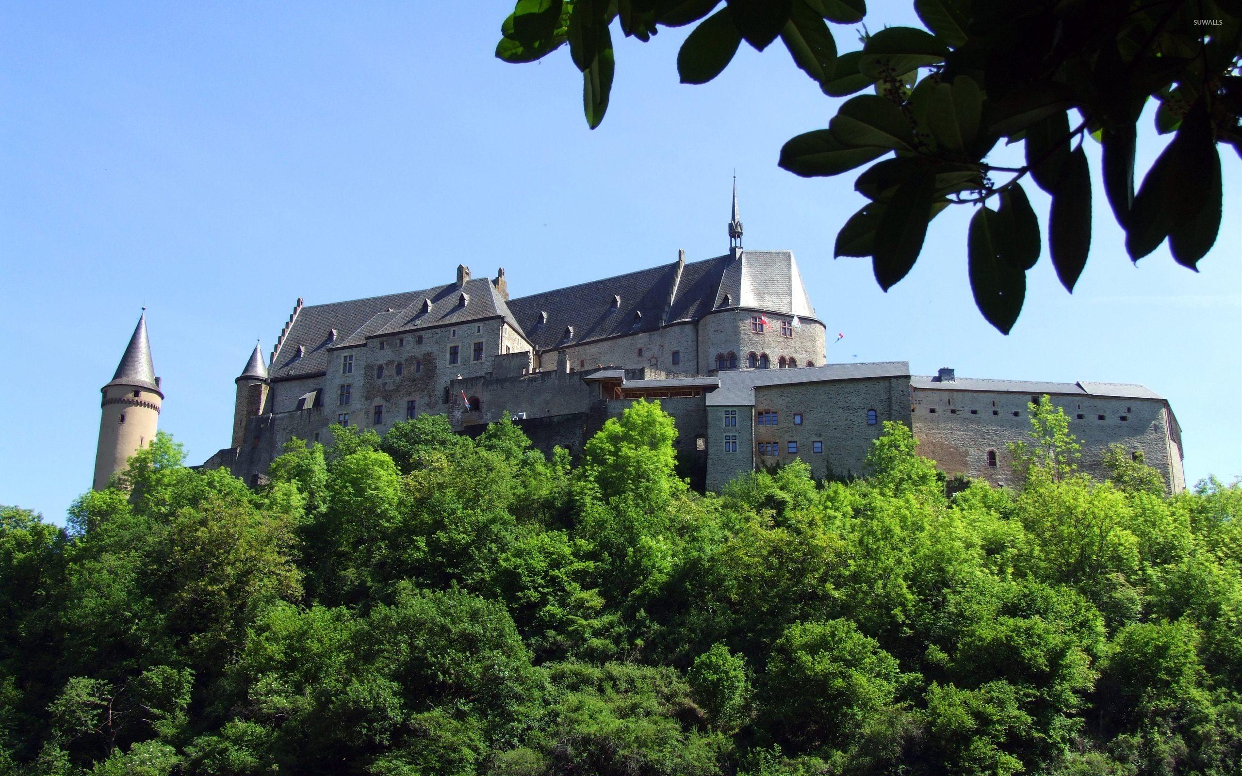 2560x1600 Castle on top of the forest wallpaper wallpaper