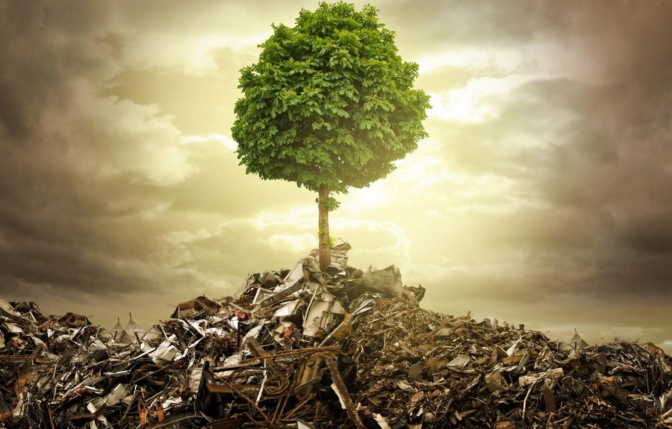 1332x850 Wallpaper the wreckage, metal, creative, garbage, tree image for desktop, section разное