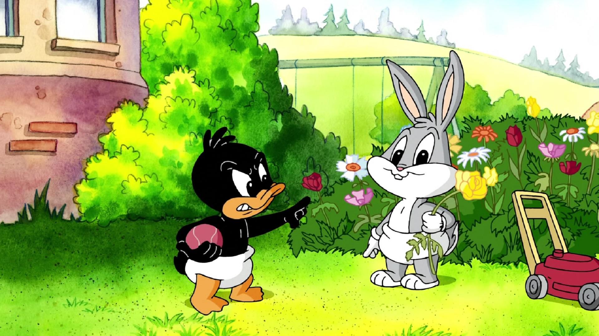 1920x1080 Watch Baby Looney Tunes