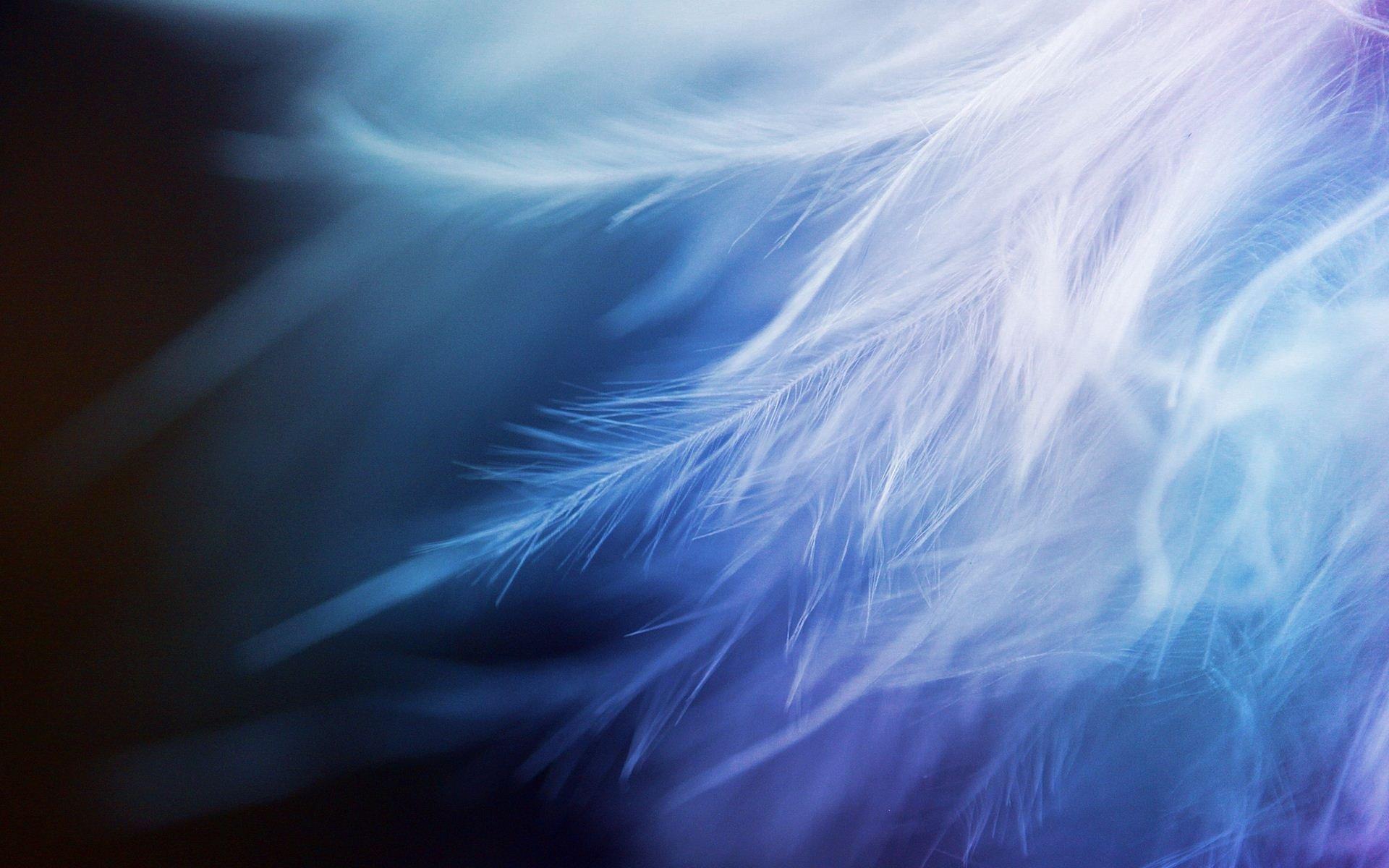 White Feather Wallpapers Top Free White Feather Backgrounds 8132567