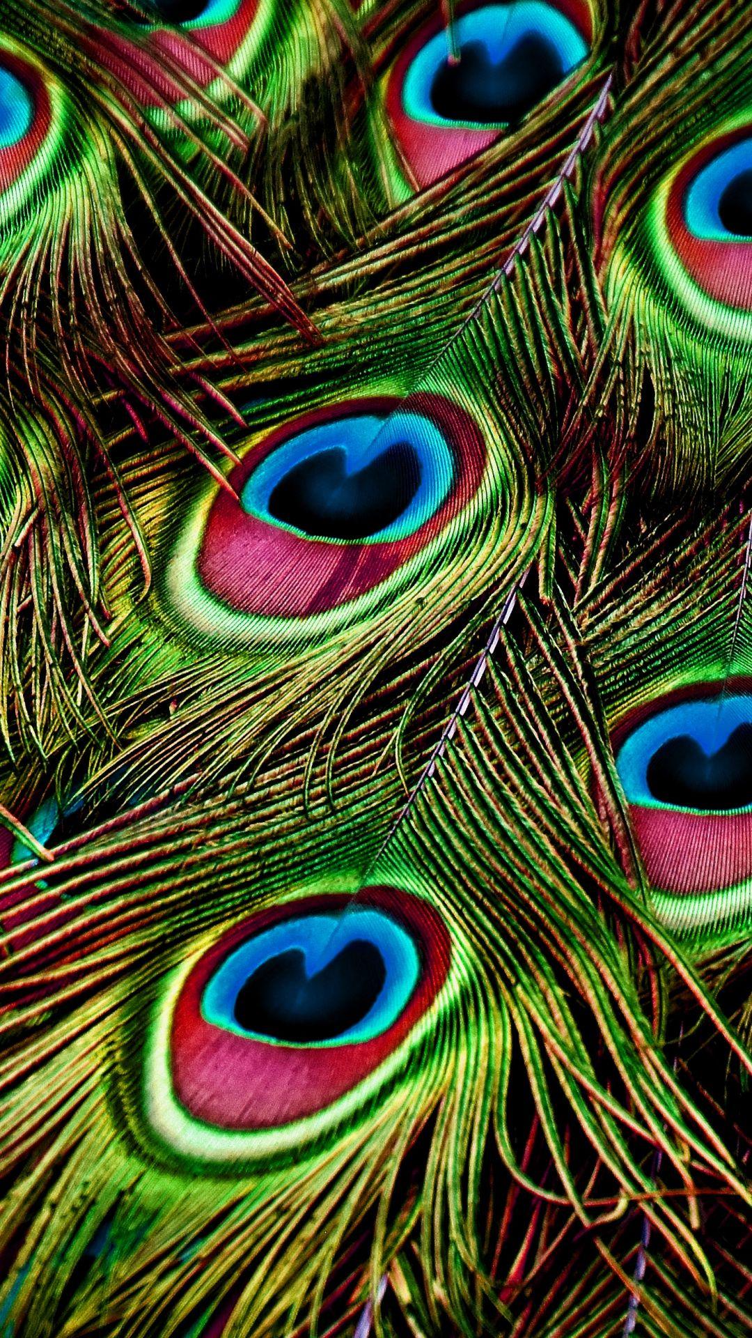 1080x1920 Peacock, feathers, close up, colorful wallpaper. Feather wallpaper, Peacock wallpaper, Peacock picture