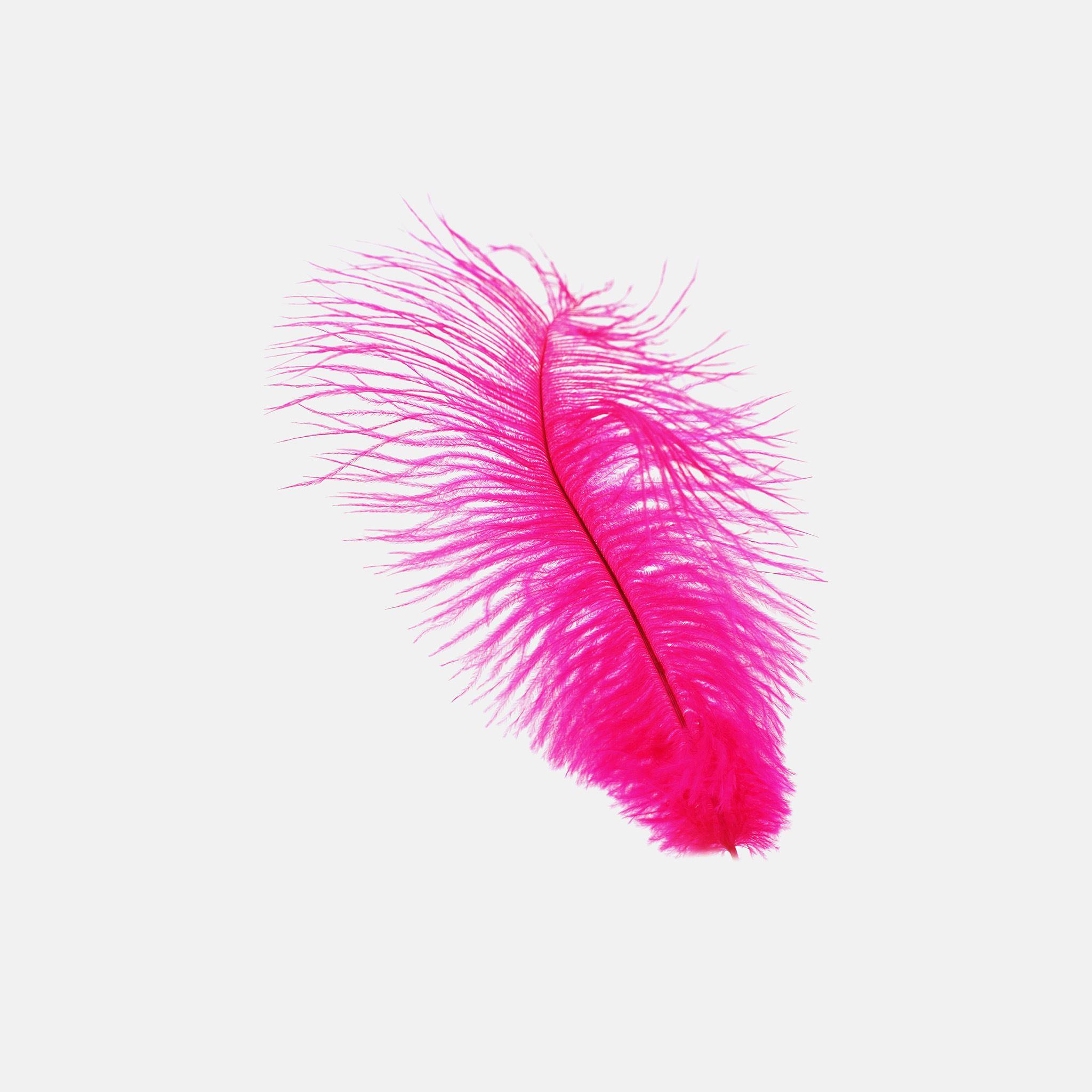 2048x2048 Feather Pink White Nature Minimal iPad Air Wallpaper Free Download