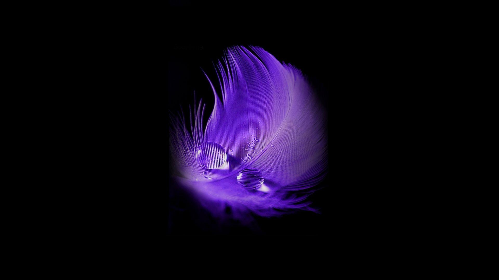 1920x1080 Purple feather, water drop, minimal, portrait wallpaper, HD image, picture, background, 304473