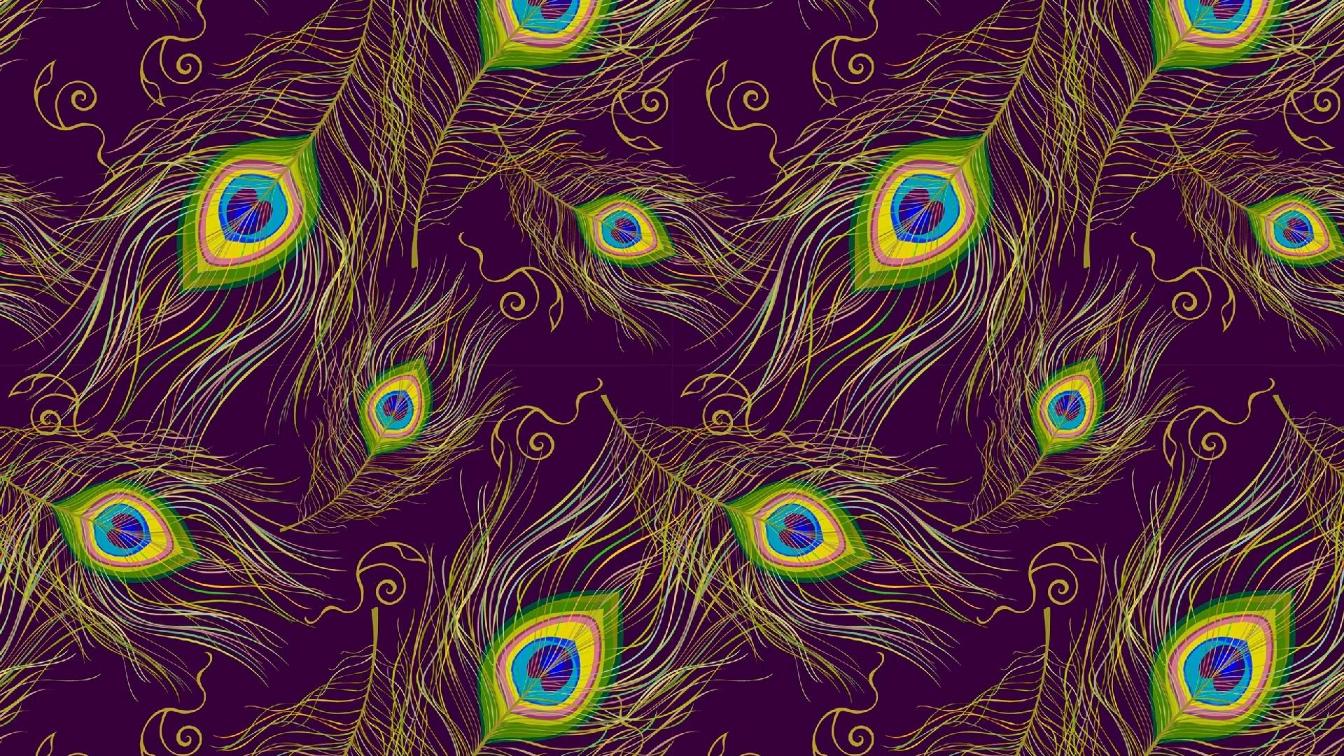 1920x1080 Peacock Feathers HD Wallpaper