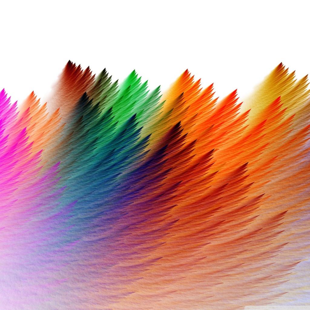 1024x1024 Feathers Ultra HD Desktop Background Wallpaper for 4K UHD TV : Tablet