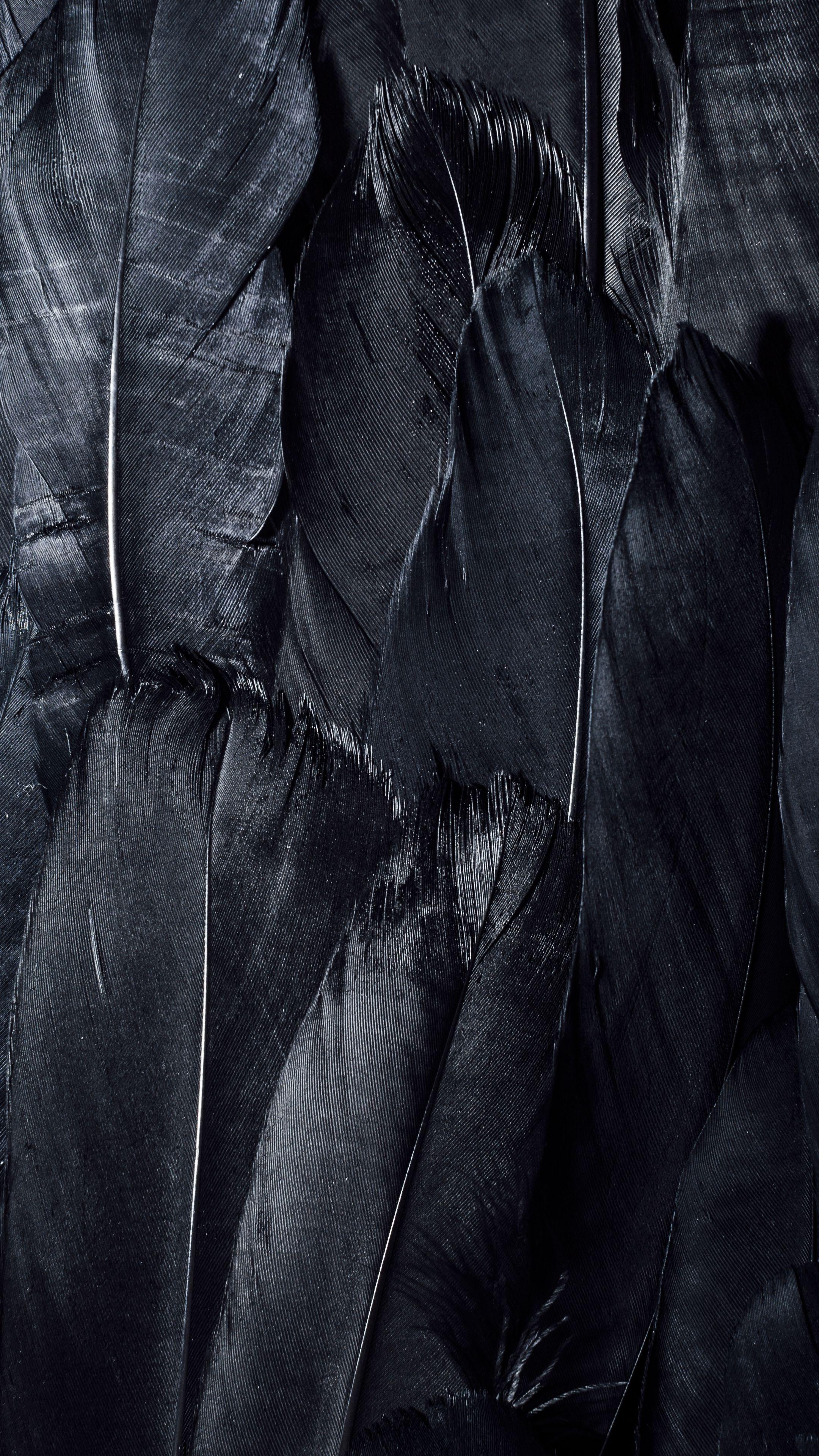 2160x3840 Download wallpaper 2160x3840 feathers, black, dark samsung galaxy s s note, sony xperia z, z z z htc one, lenovo vibe HD background