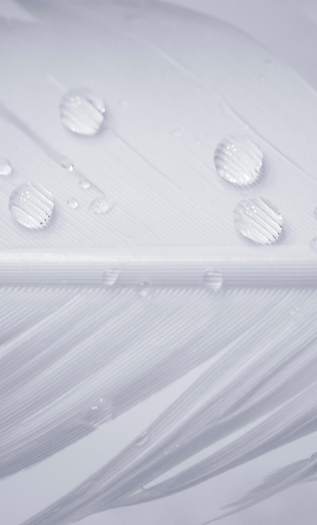 1280x2120 Water Drops On White Feather iPhone HD 4k Wallpaper, Image, Background, Photo and Picture