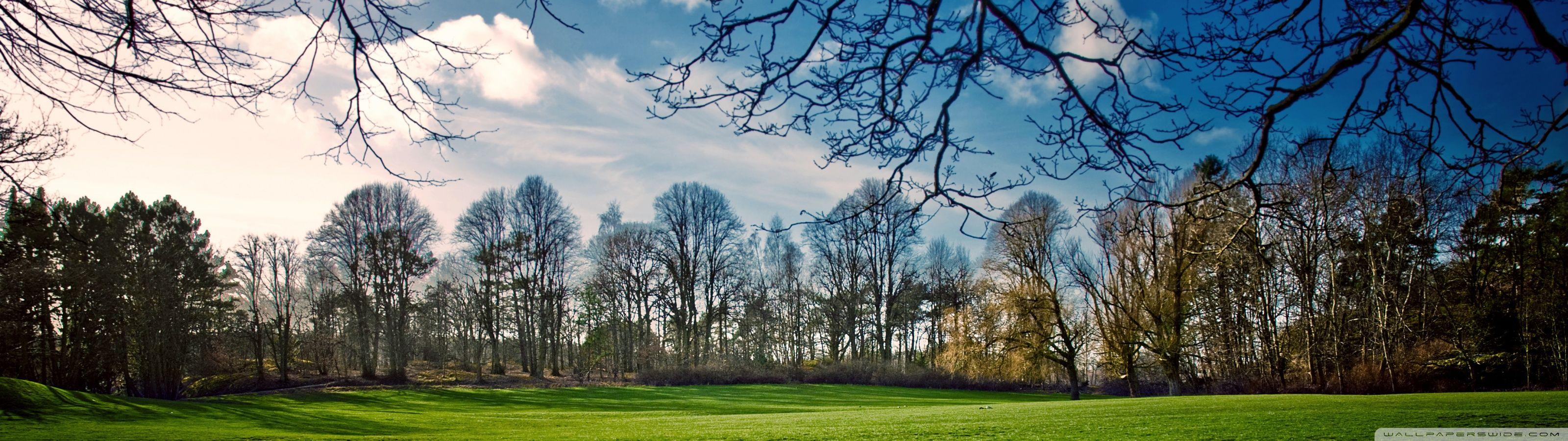 3200x900 Beautiful Meadow, Spring ❤ 4K HD Desktop Wallpaper for • Dual