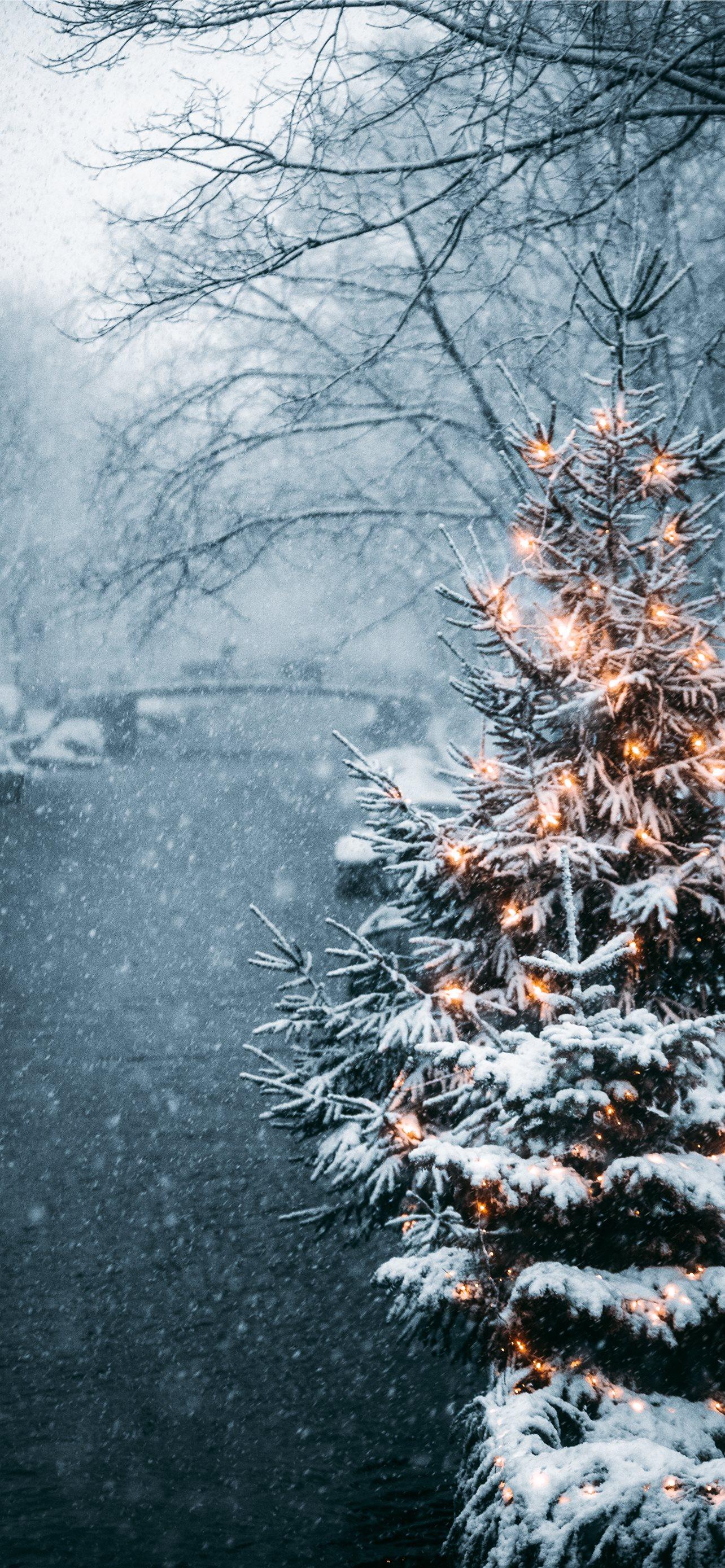 1284x2778 Best Winter iPhone HD Wallpaper