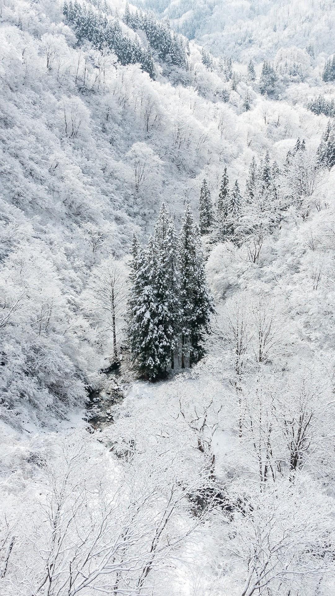 1080x1920 Snowy iPhone Wallpaper X Wallpaper HD Winter Wallpaper & Background Download