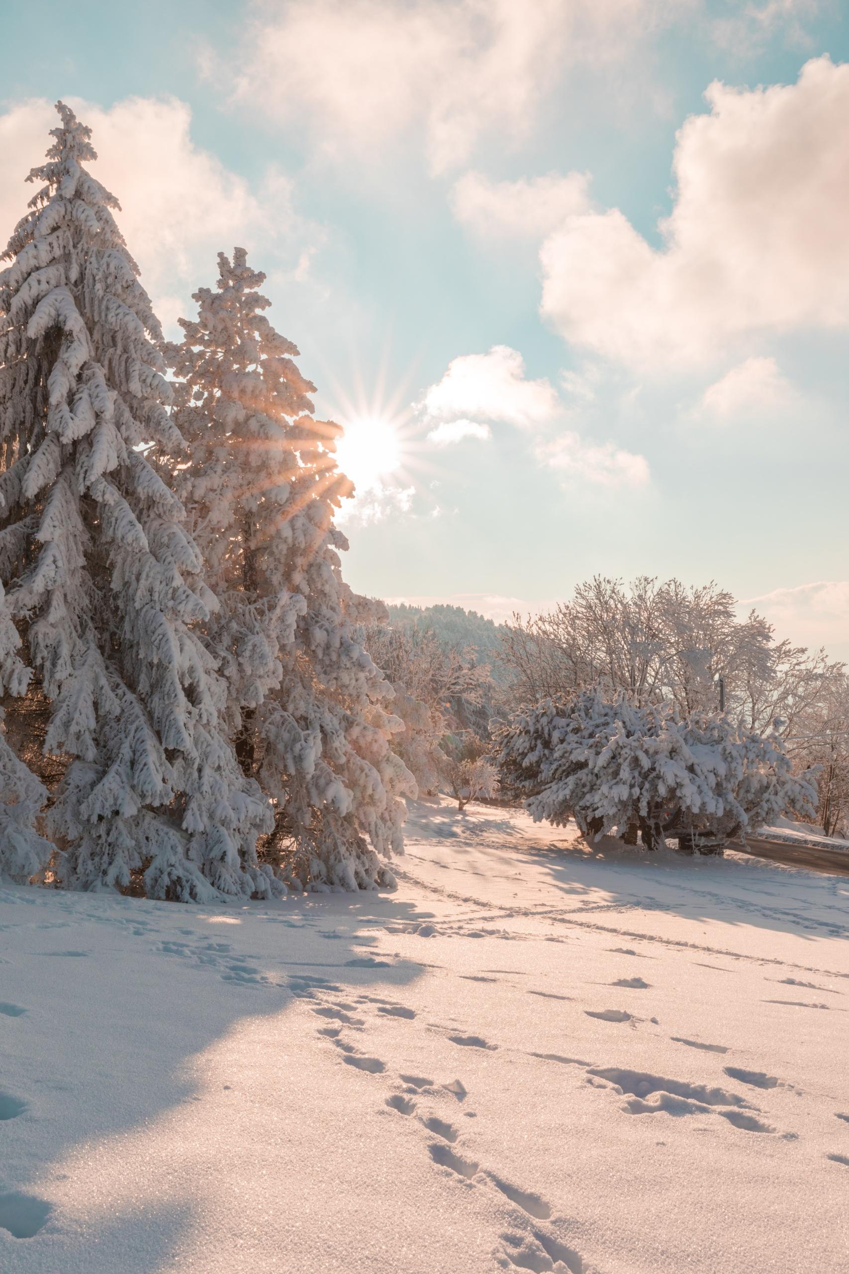 1707x2560 Free HD Winter Wallpaper Background For iPhone of the Snow