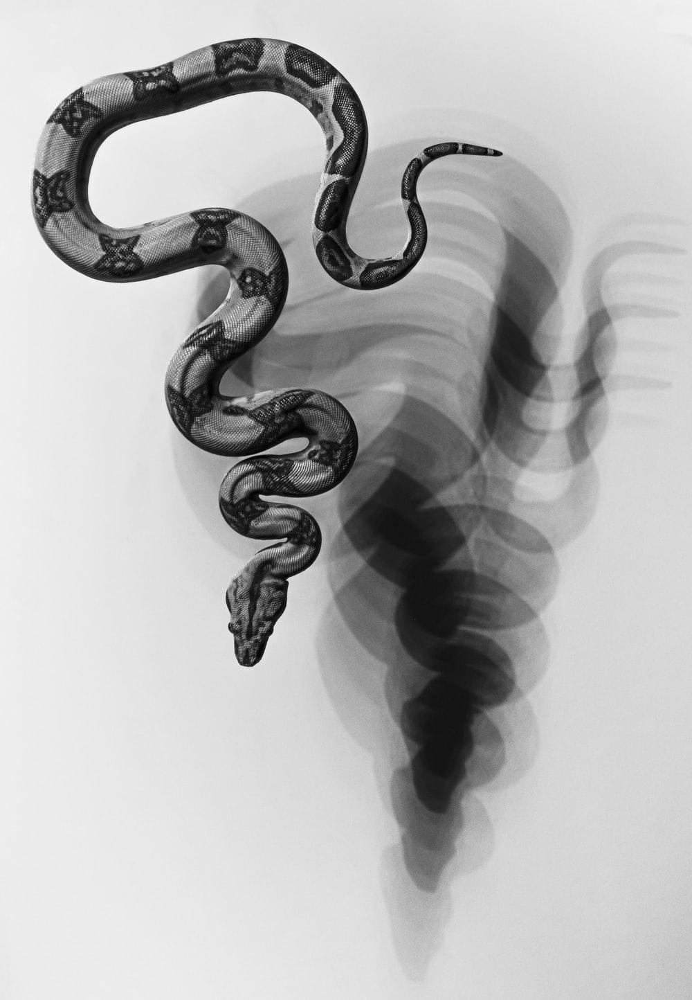 Snake art wallpaper hires stock photography and images  Alamy