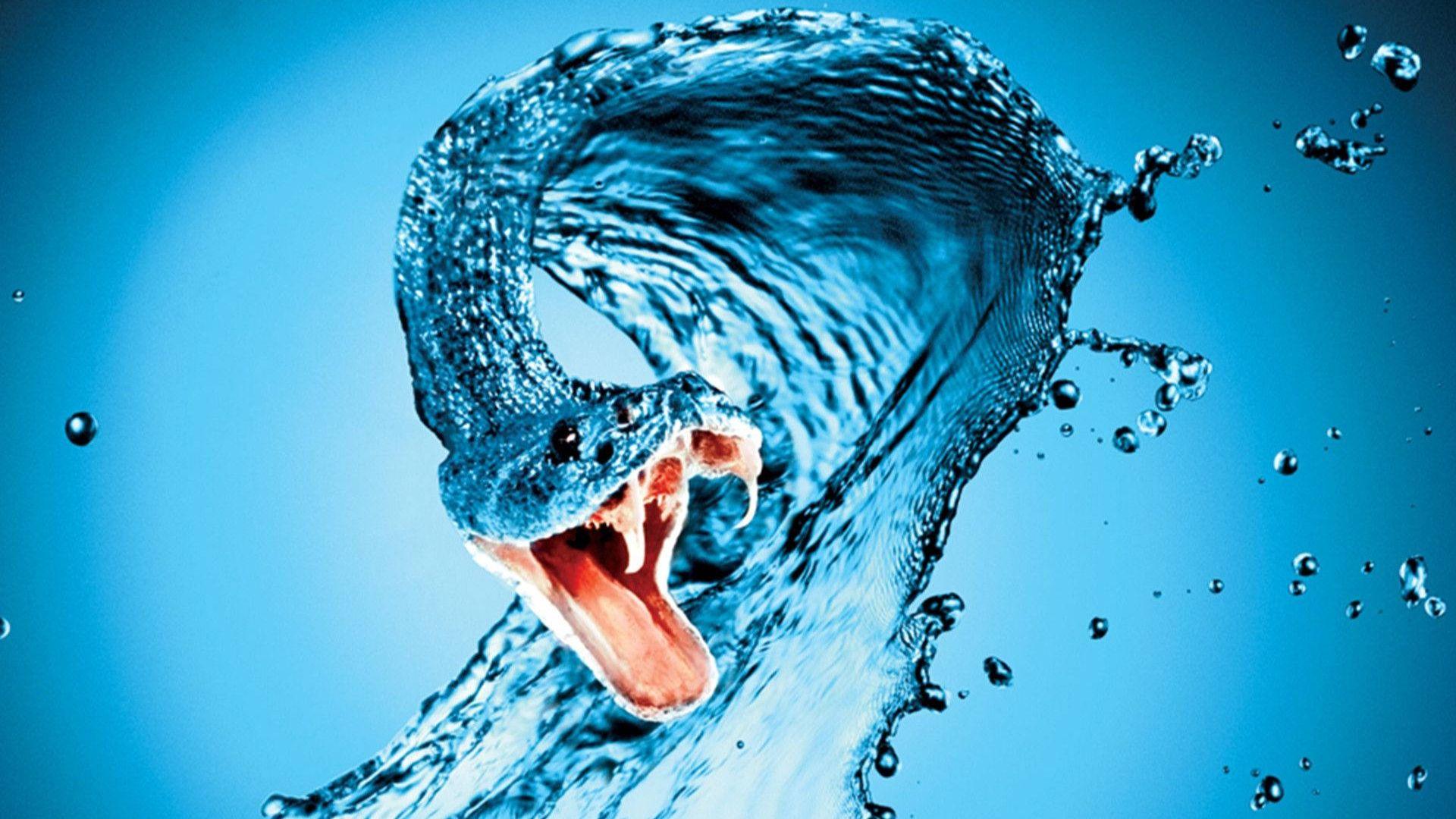 1920x1080 Snake Wallpaper : Top Best Quality Snake Background Download (4k, HD)