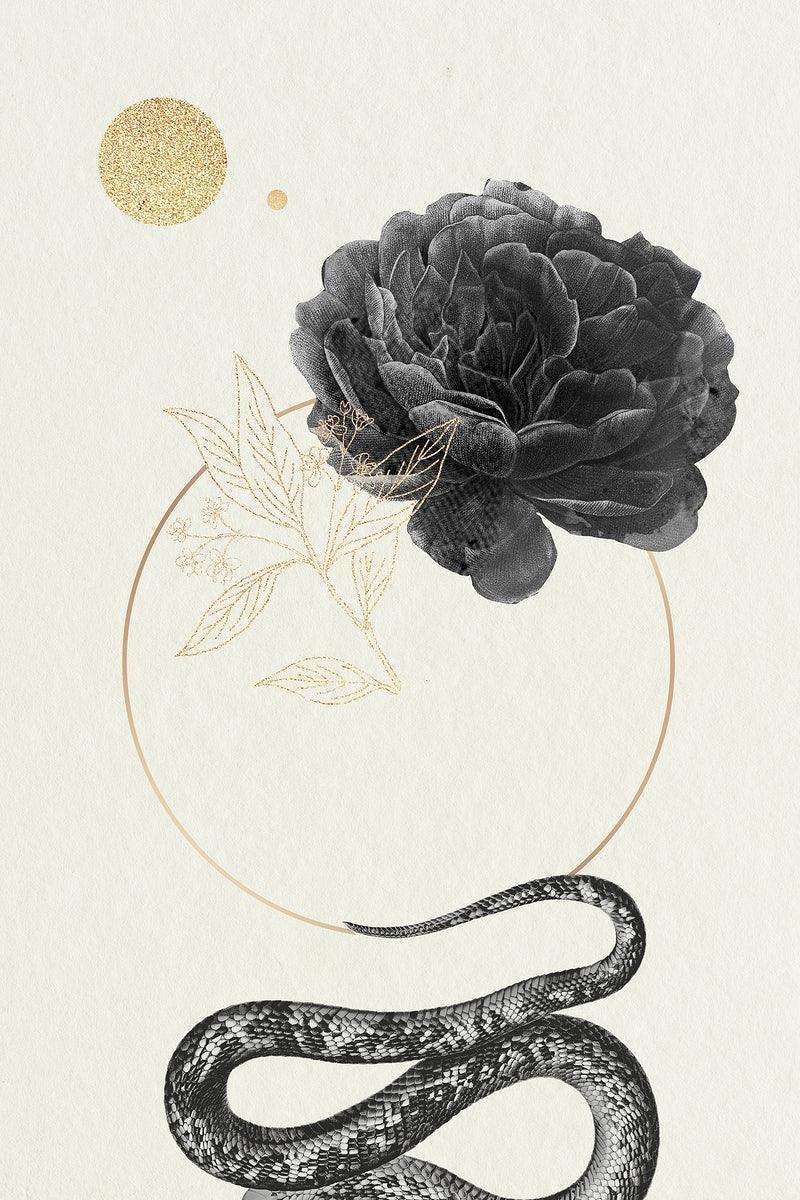 800x1200 Snake Image. Free HD Background, PNGs, Vectors & Illustrations