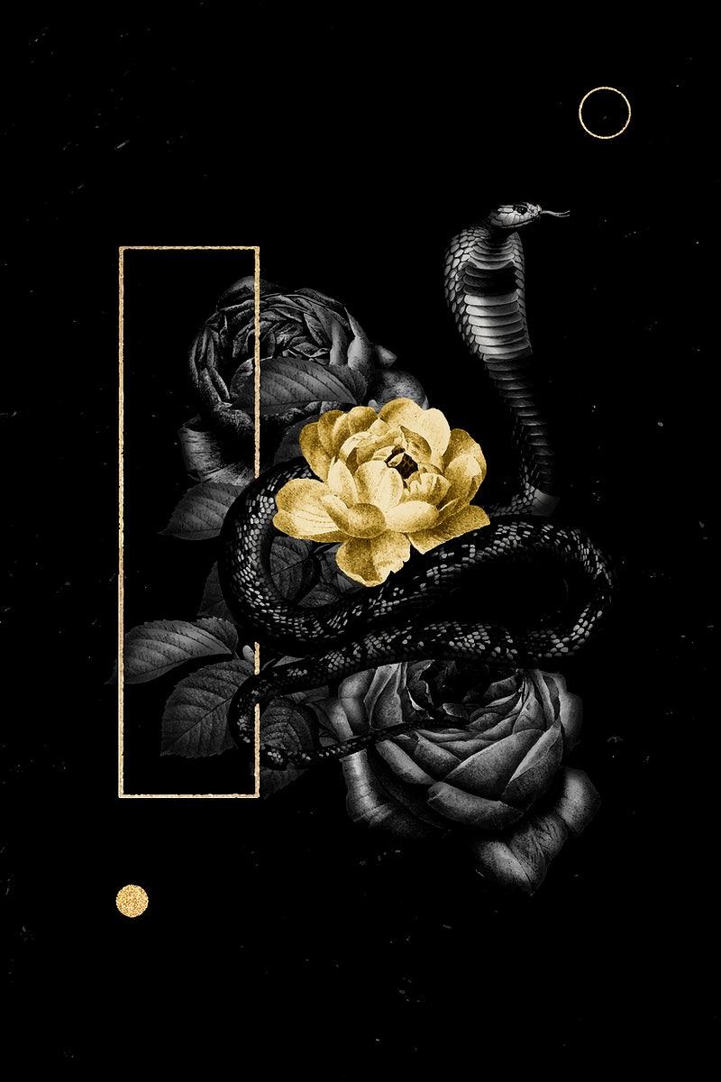 800x1200 Black Image Wallpaper