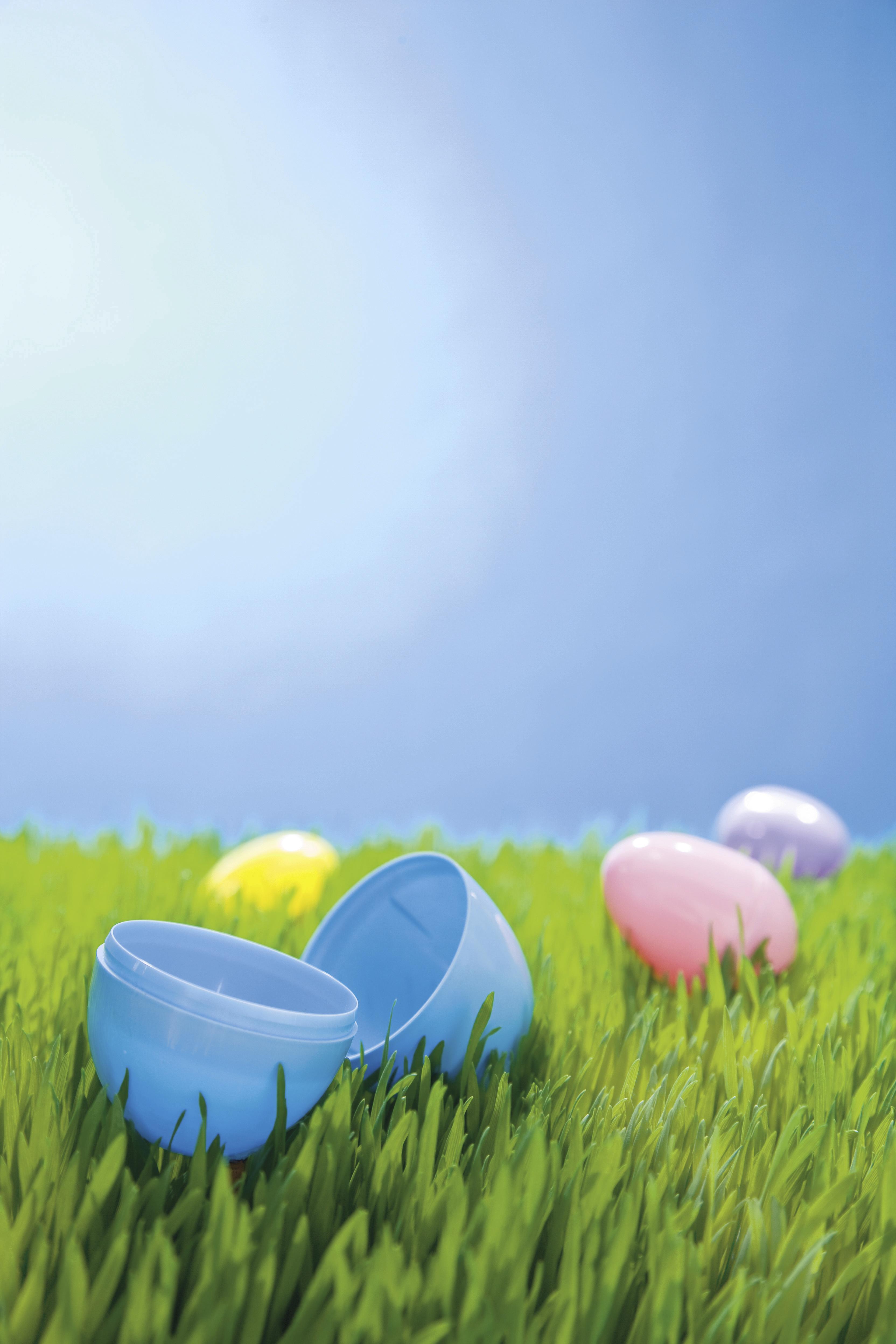 3328x4992 Easter Eggs in the Grass