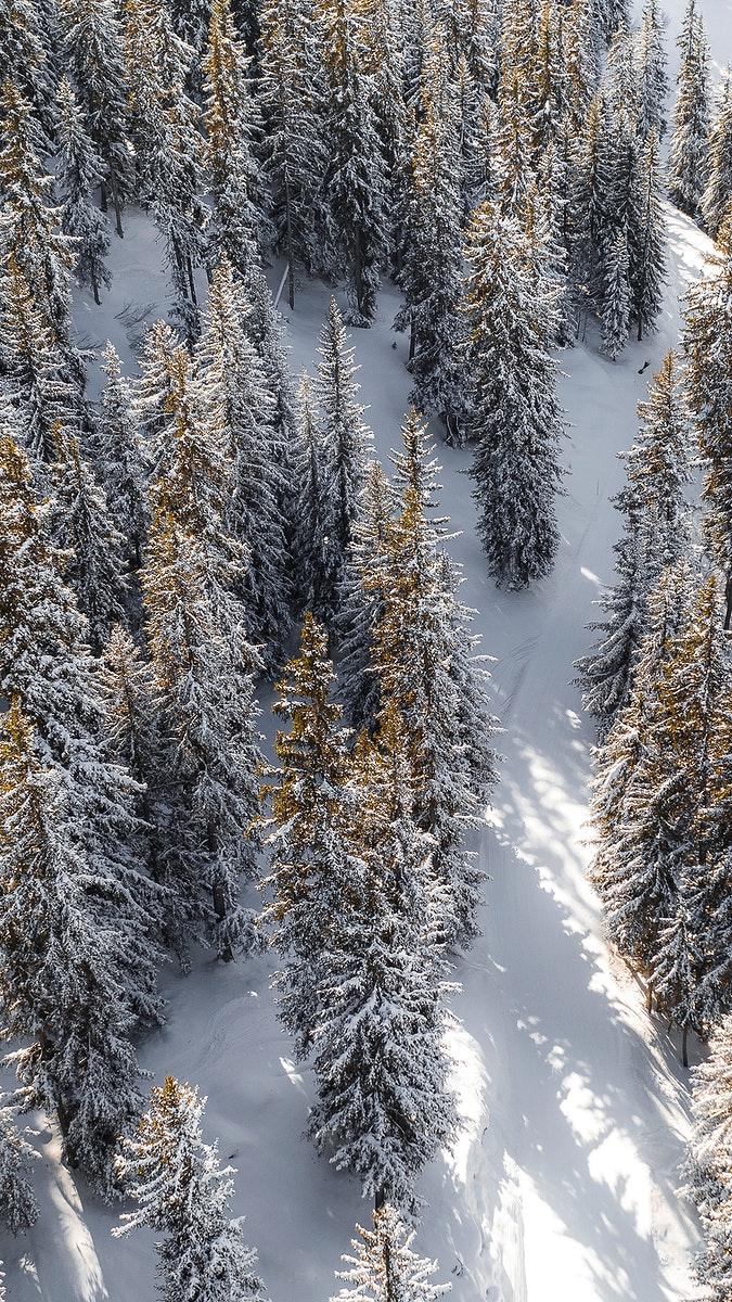 675x1200 Winter iPhone wallpaper background, snowy