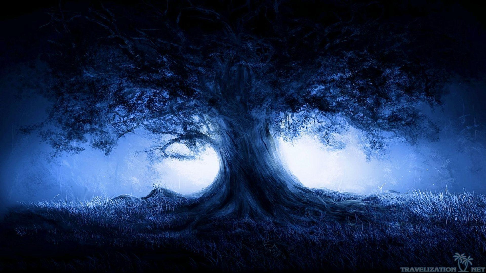 1920x1080 Dark Nature Wallpaper