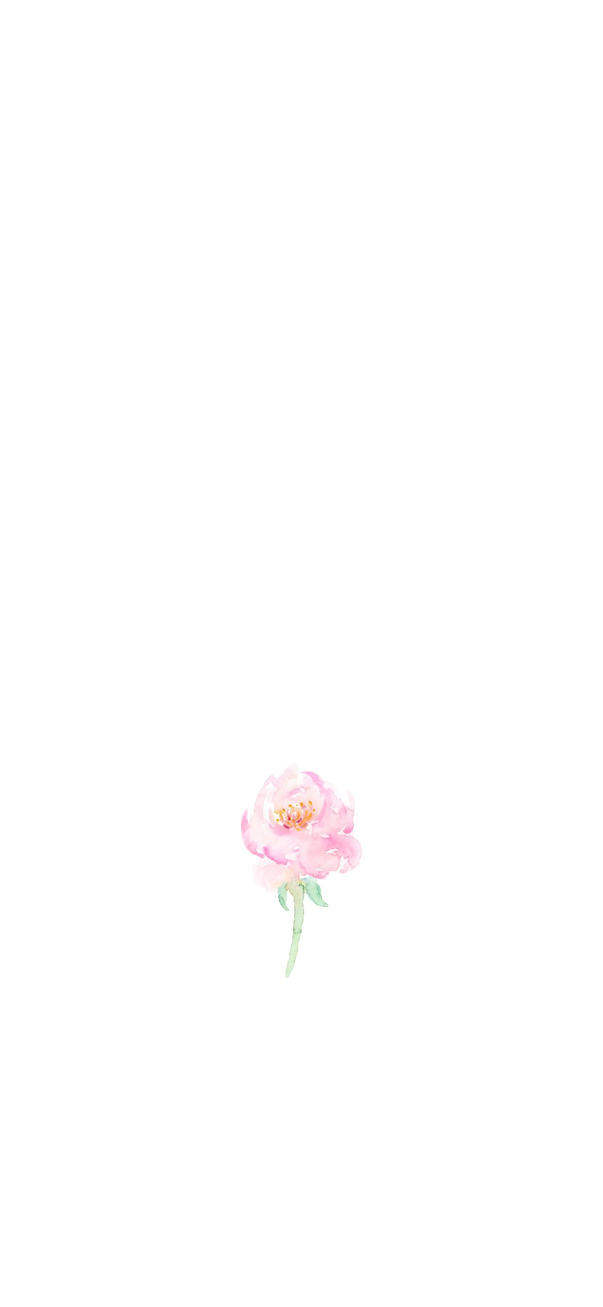 1242x2688 Spring Floral iPhone Wallpaper and Ivory