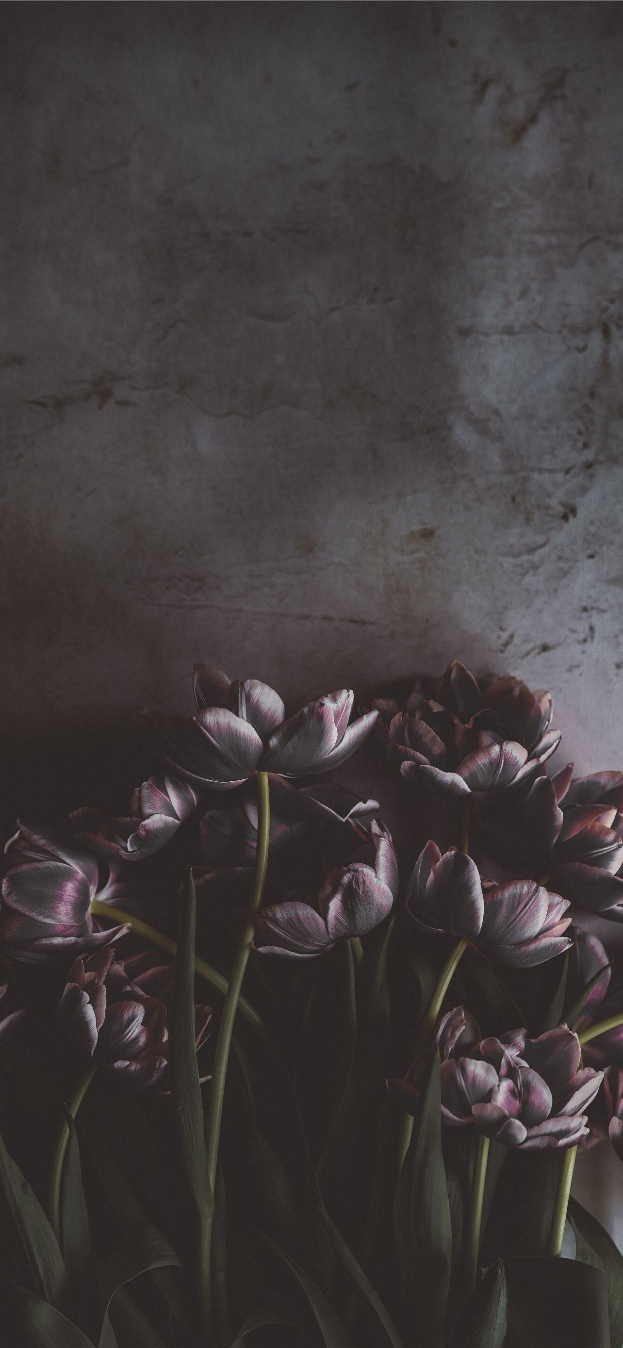 1284x2778 Best Floral iPhone HD Wallpaper
