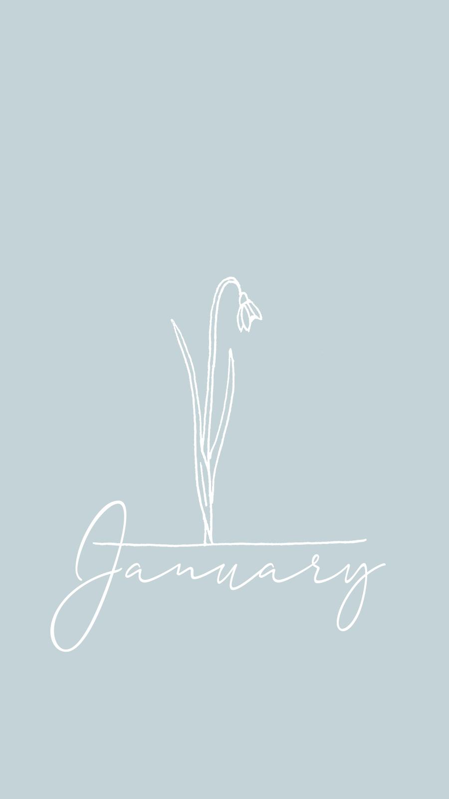 900x1600 Snowdrop Flower iPhone Wallpaper