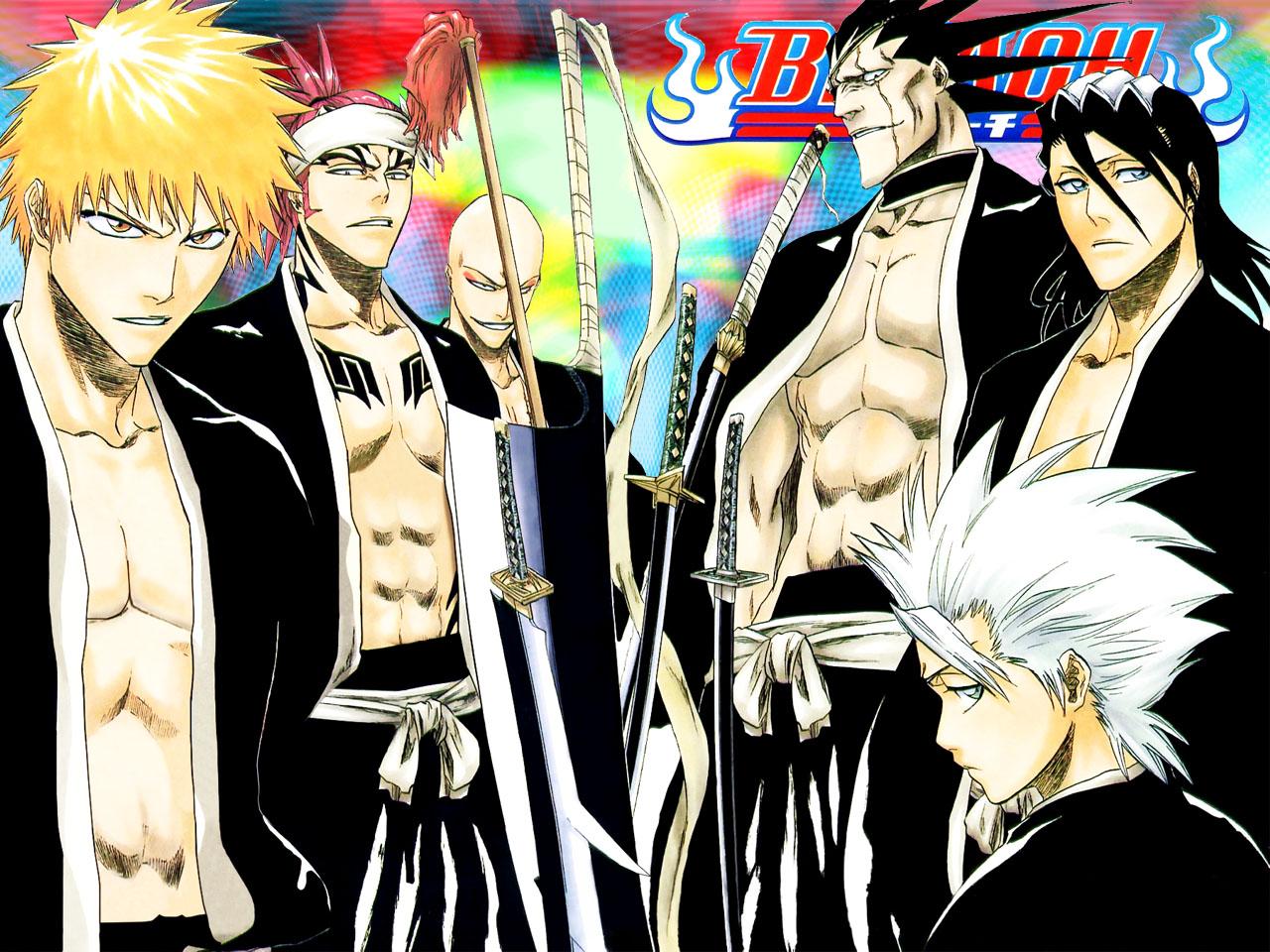 1280x960 Download wallpaper from anime Bleach with tags: Picture, Tōshirō Hitsugaya, Ichigo Kurosaki, Byakuya Kuchiki, Renji Abarai, Kenpachi Zaraki, Ikkaku Madarame