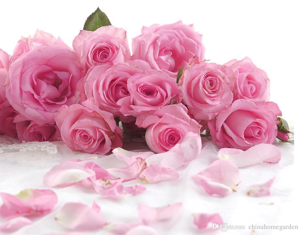1048x818 Luxury European Modern Pink Aesthetic Rose Bedroom Background Wall