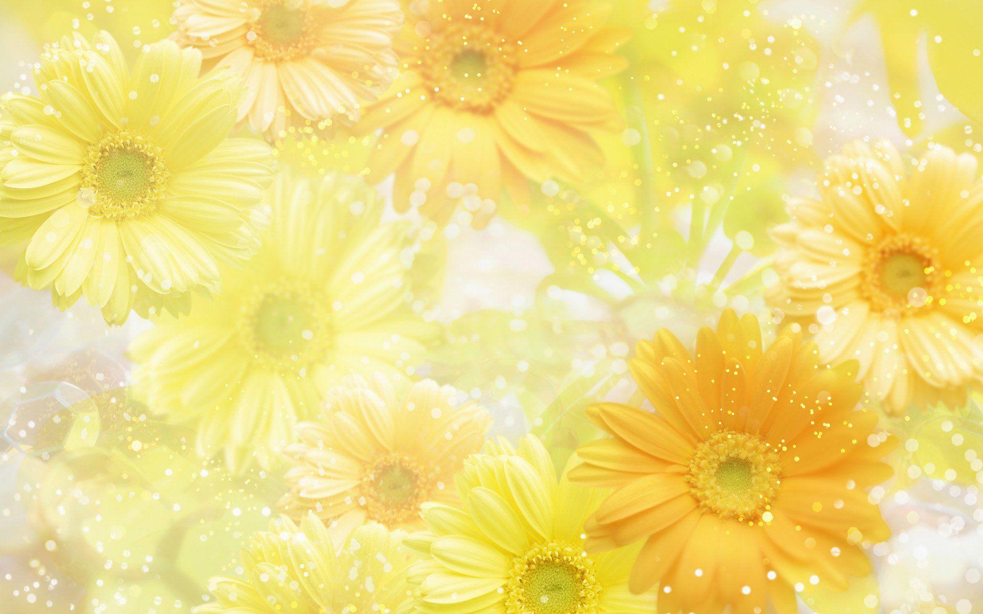 1920x1200 Yellow Flower Wallpaper