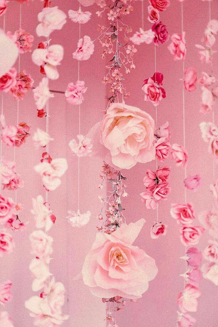 736x1104 Etcetera. Pink aesthetic