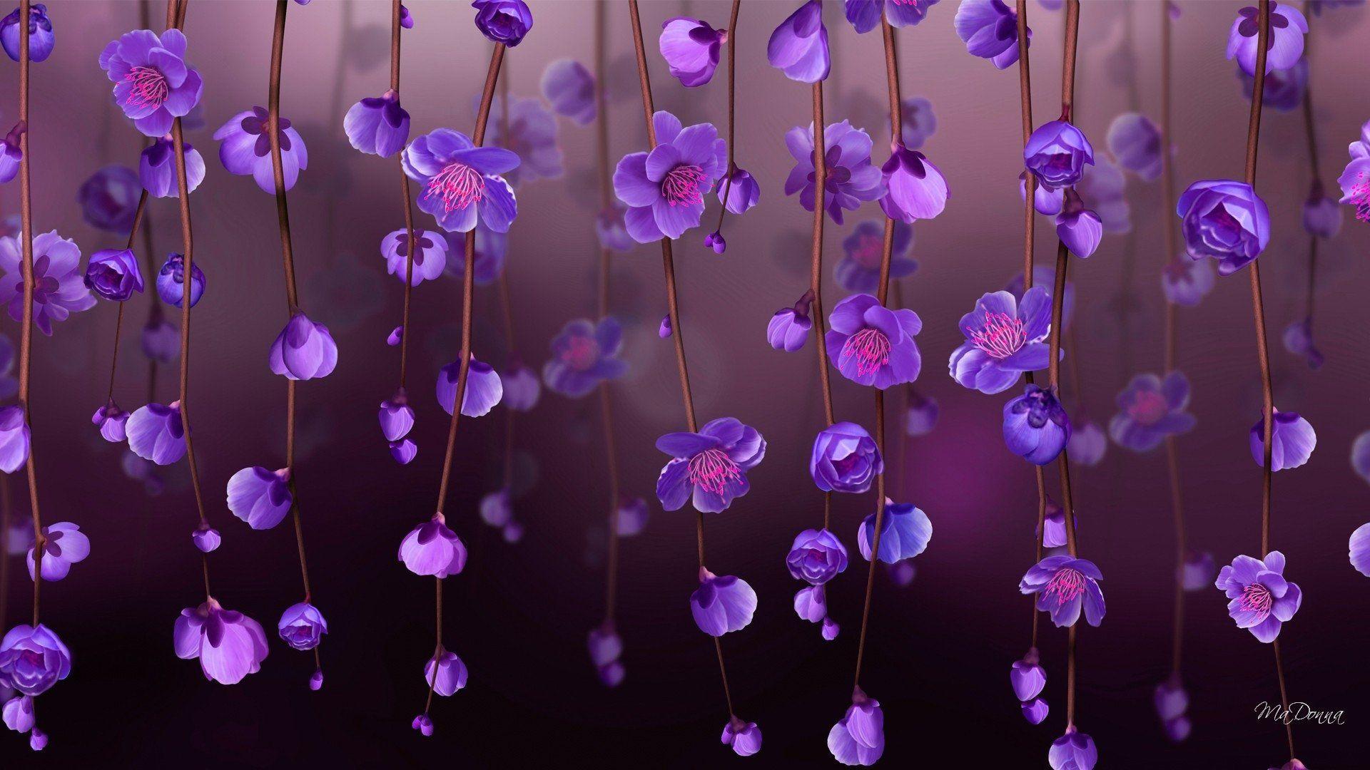 Purple HD Wallpapers Top Free Purple HD Backgrounds WallpaperAccess