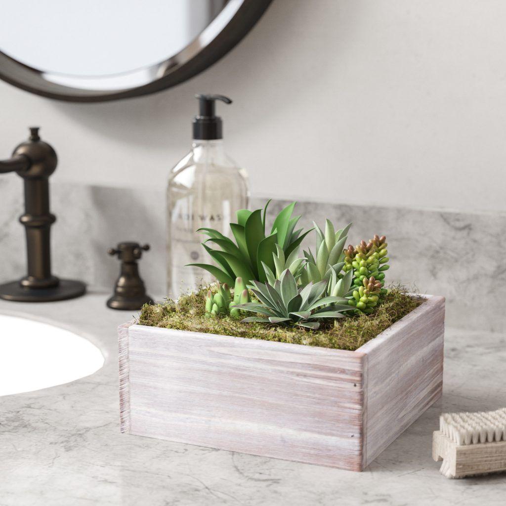 1024x1024 Succulent Aesthetic Bedroom