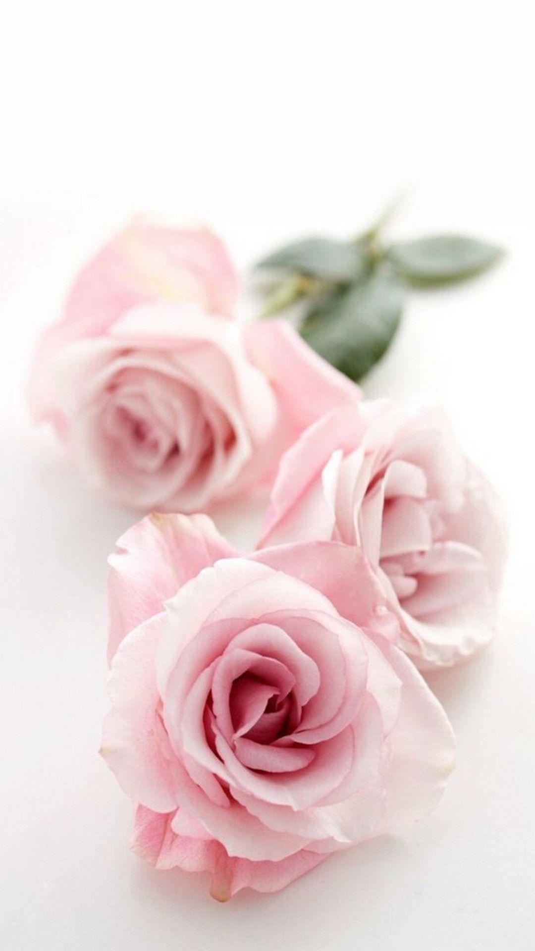 1080x1920 Cute Flower Wallpaper