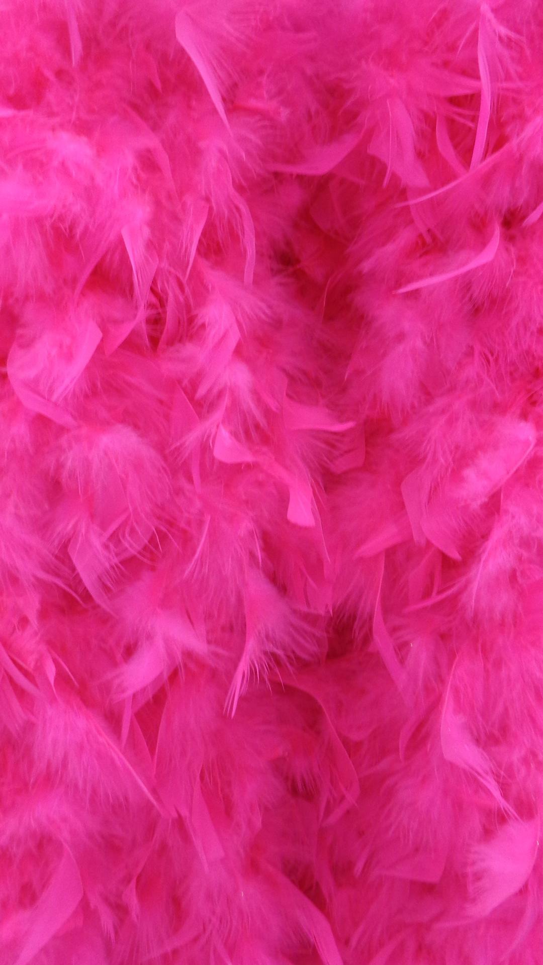 Pink Feather Wallpapers - Top Free Pink Feather Backgrounds