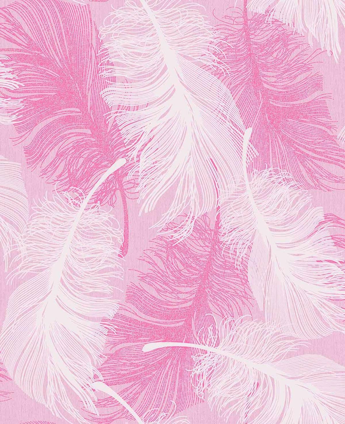 Pink Feather Wallpapers - Top Free Pink Feather Backgrounds