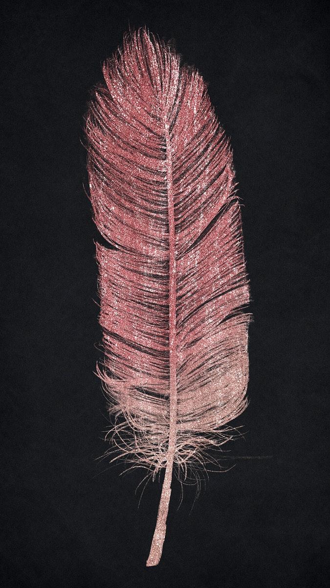 Pink Feather Wallpapers - Top Free Pink Feather Backgrounds