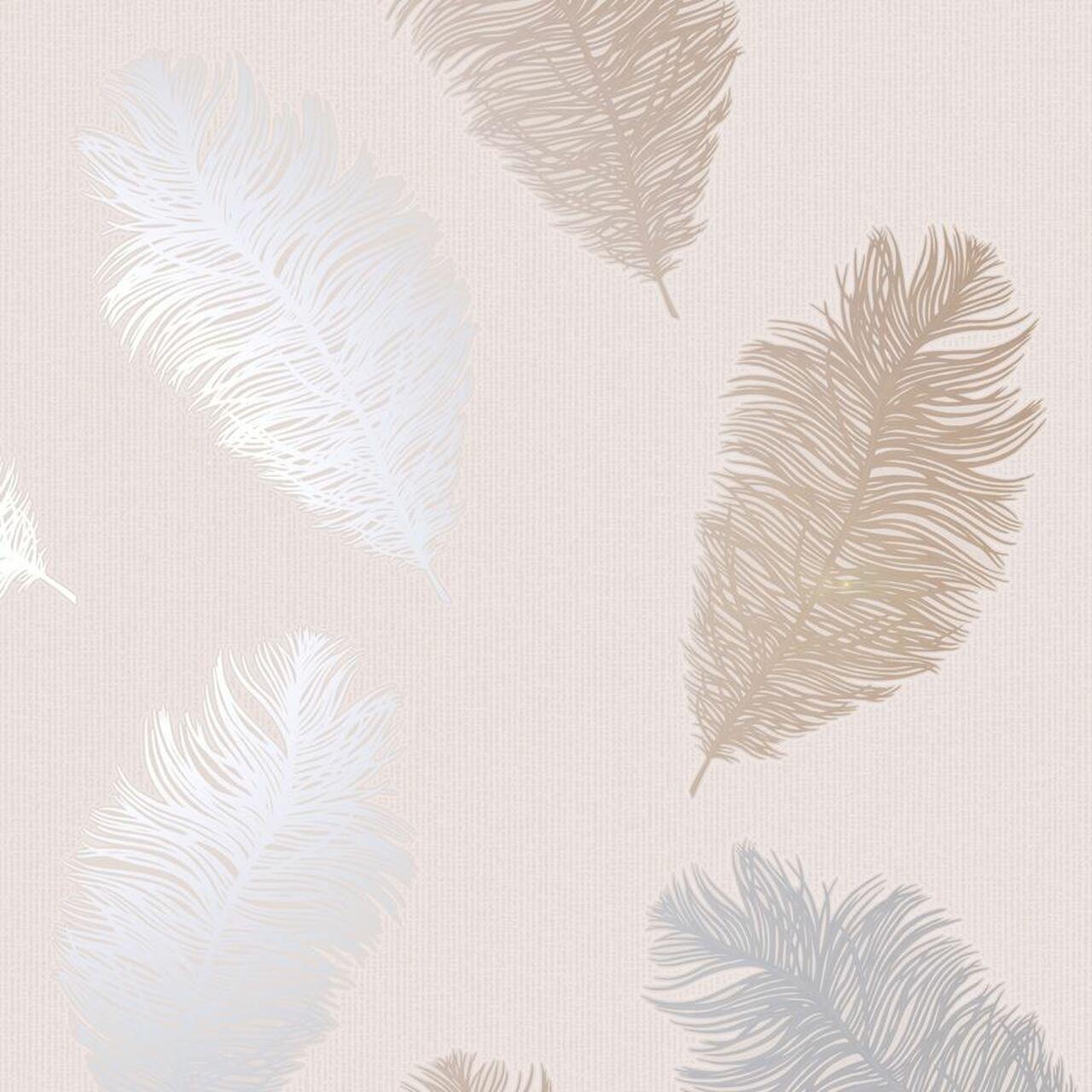 Pink Feather Wallpapers - Top Free Pink Feather Backgrounds