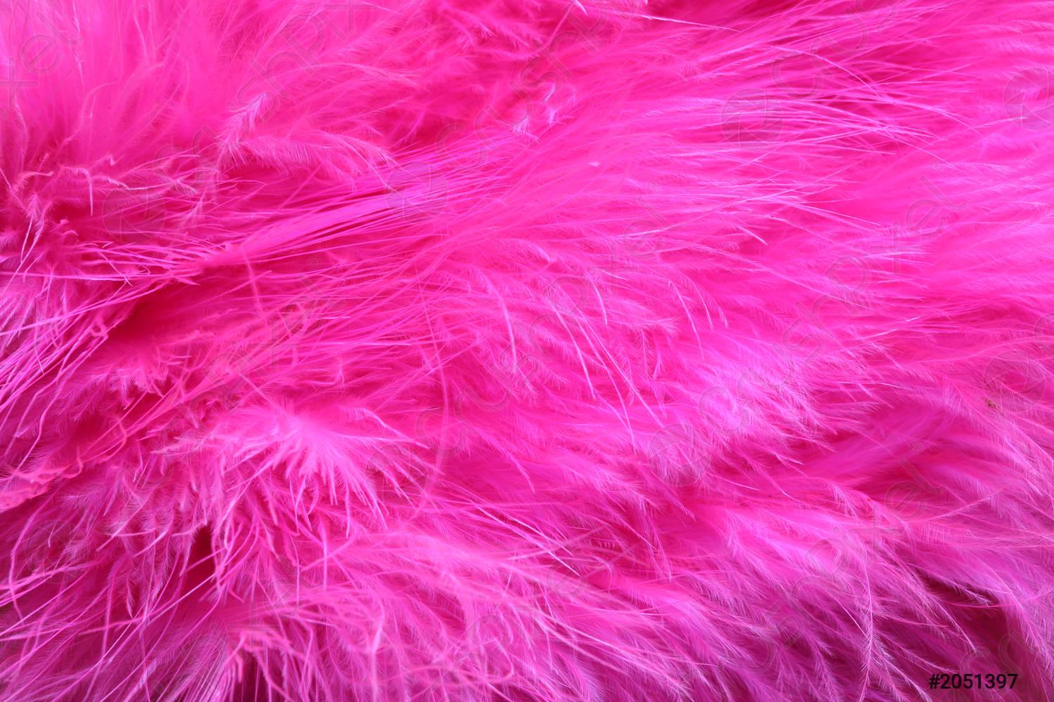 Pink Feather Wallpapers - Top Free Pink Feather Backgrounds ...