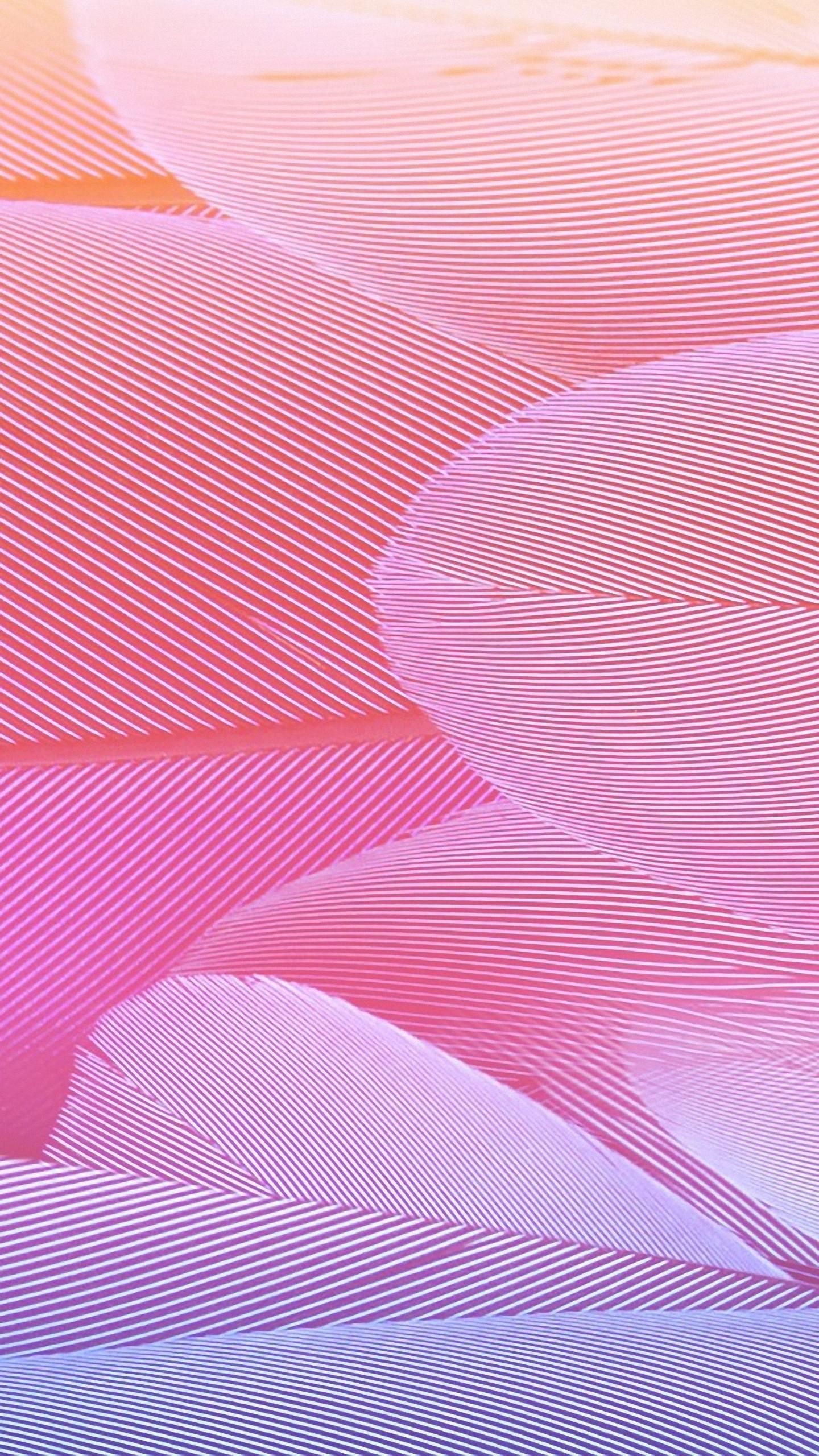 1440x2560 1440x HD Abstract Pink Feather Texture Samsung Feather Wallpaper HD