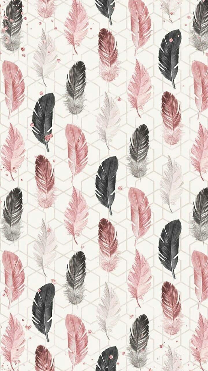 720x1280 Feather wallpaper